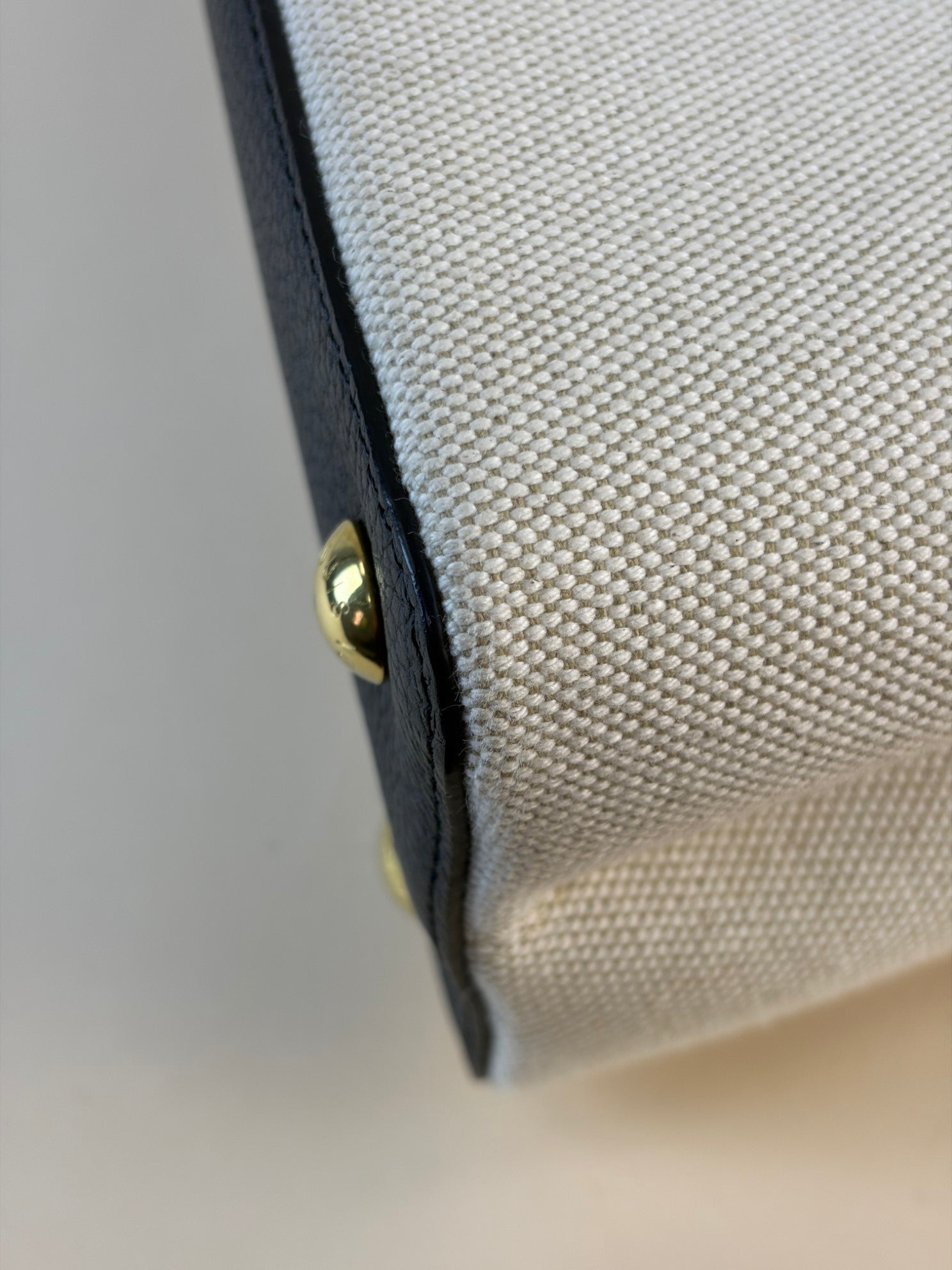 Louis Vuitton Bicolor Taurillon Capucines MM Handbag with Strap