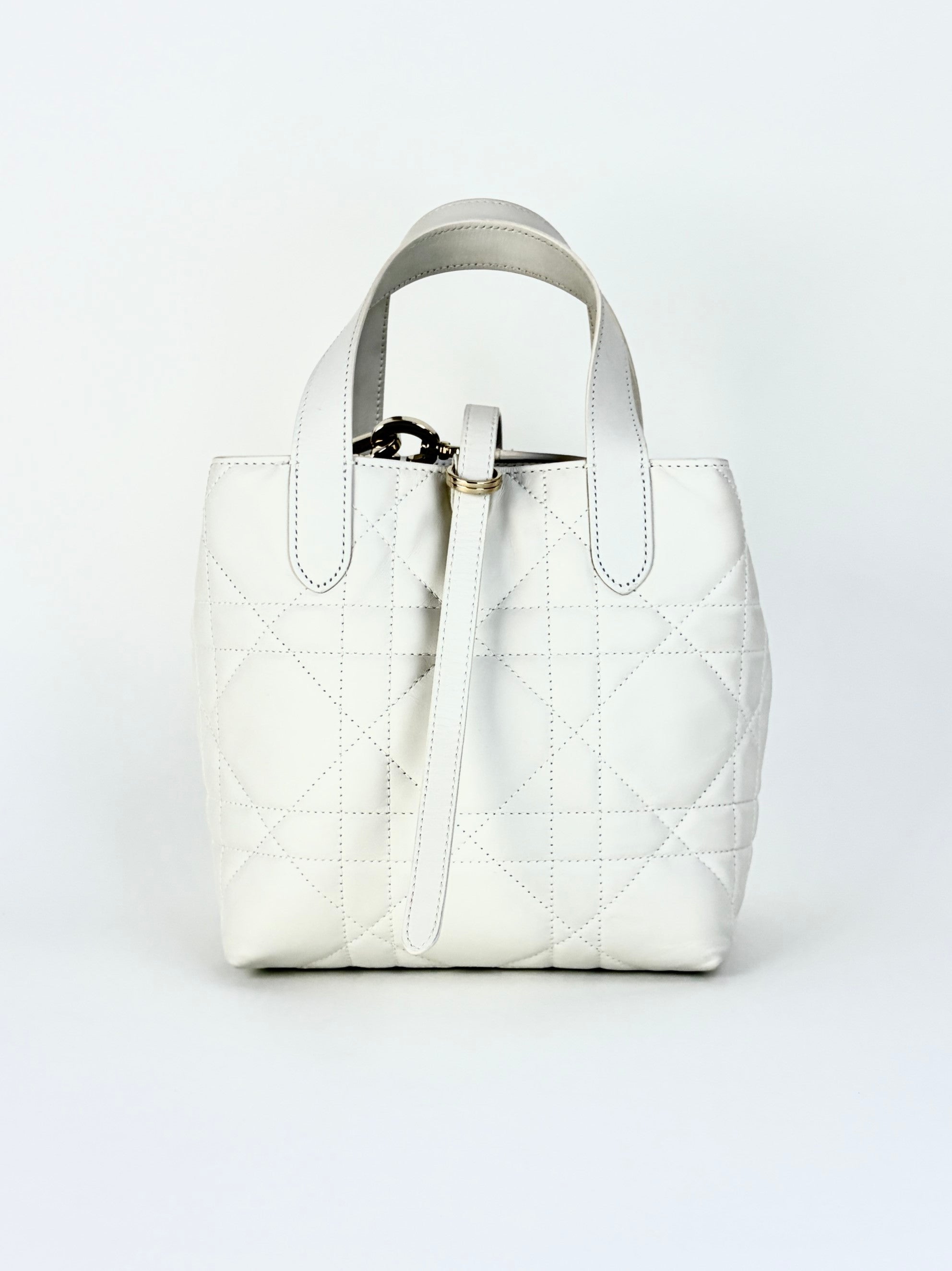 Christian Dior latte macro carnage bonjours vertical bag