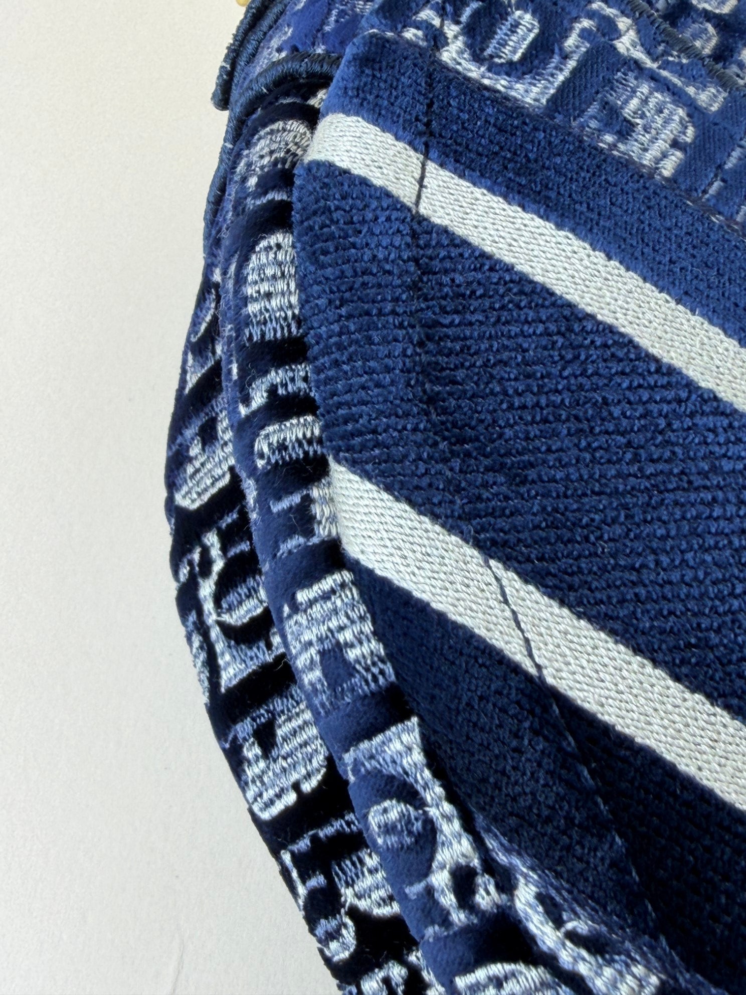 Christian Dior blue Oblique Saddle velvet