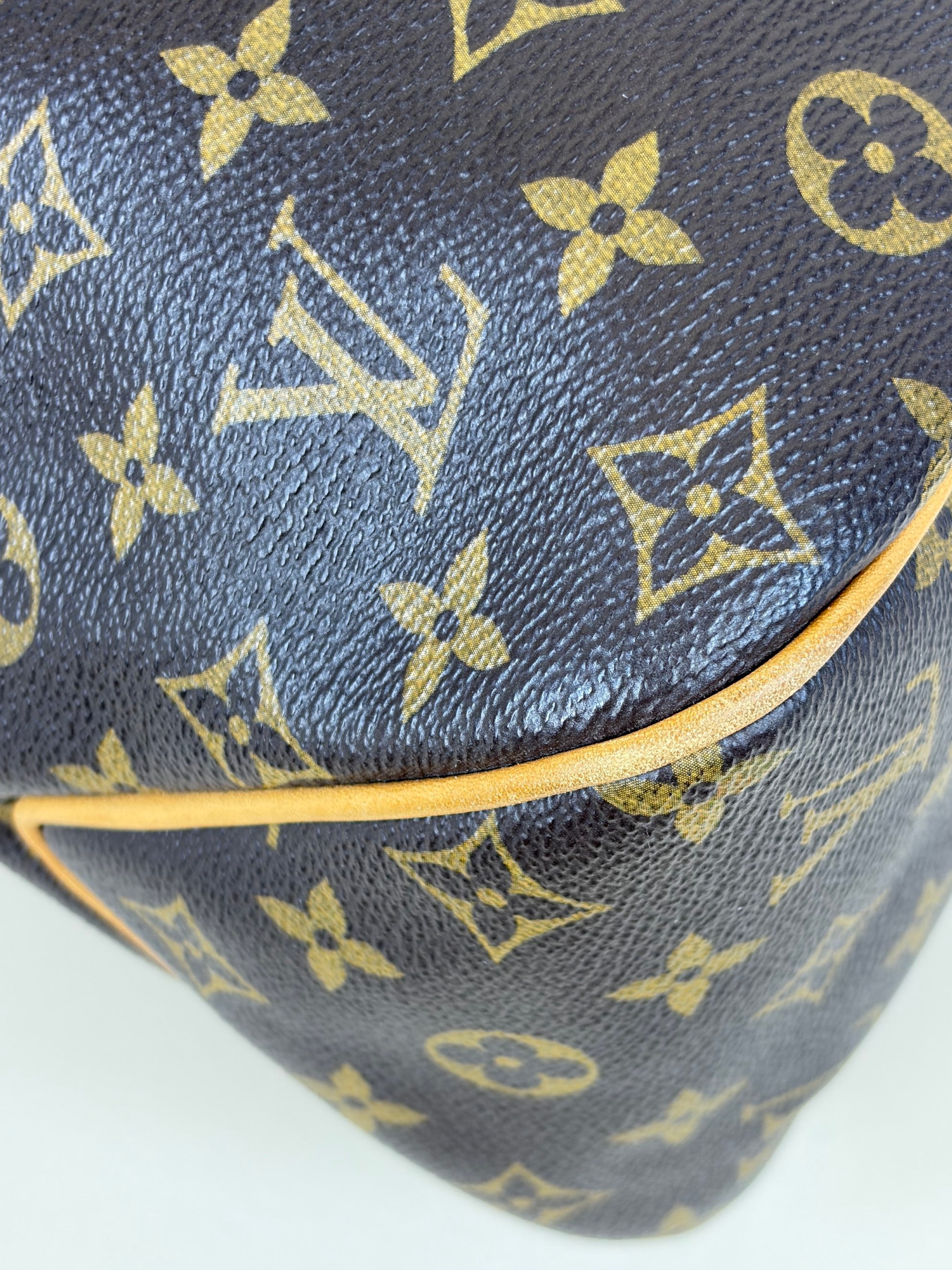 Louis Vuitton Monogram Delightful MM Shoulder Bag