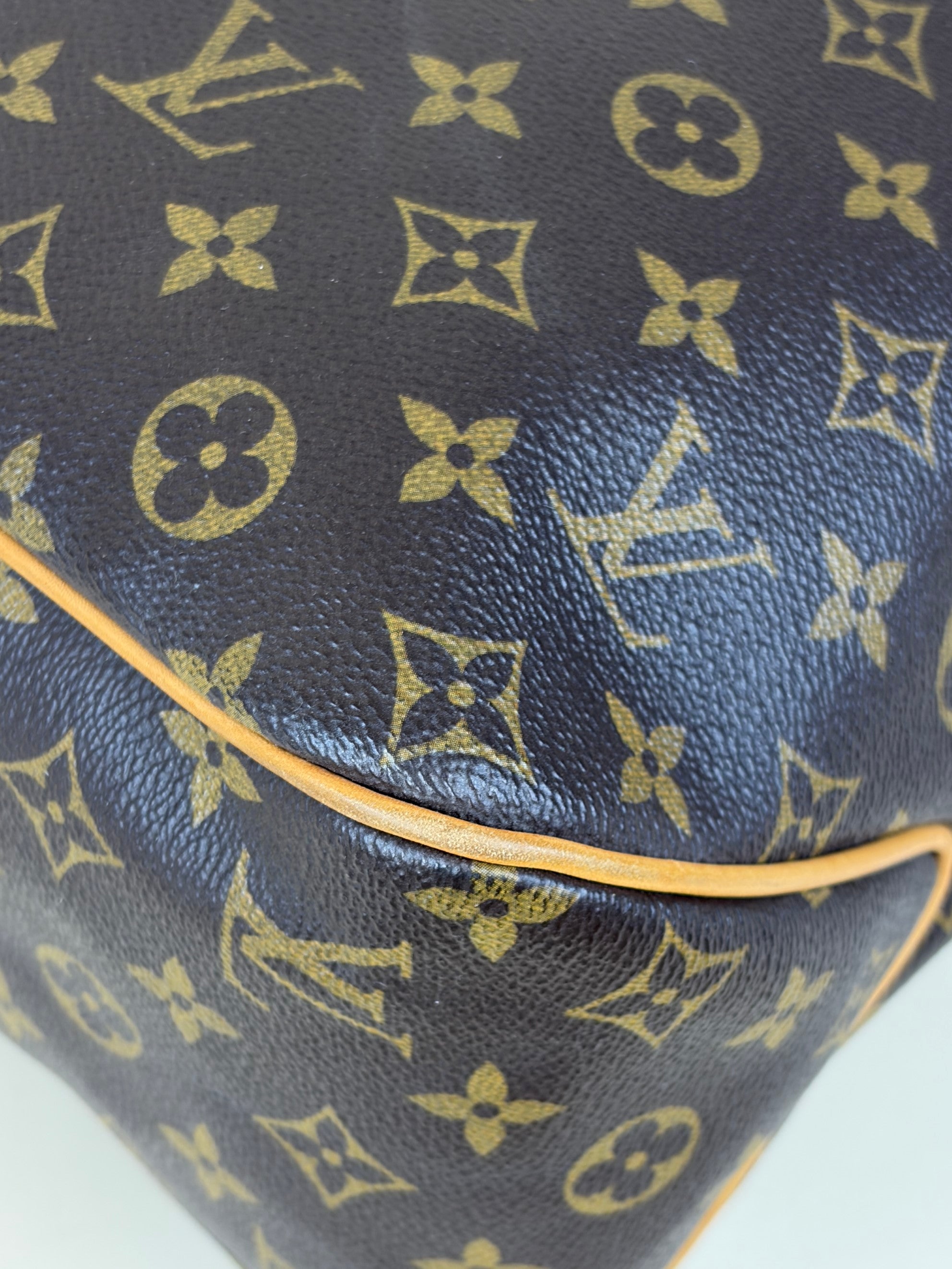 Louis Vuitton Monogram Delightful MM Shoulder Bag