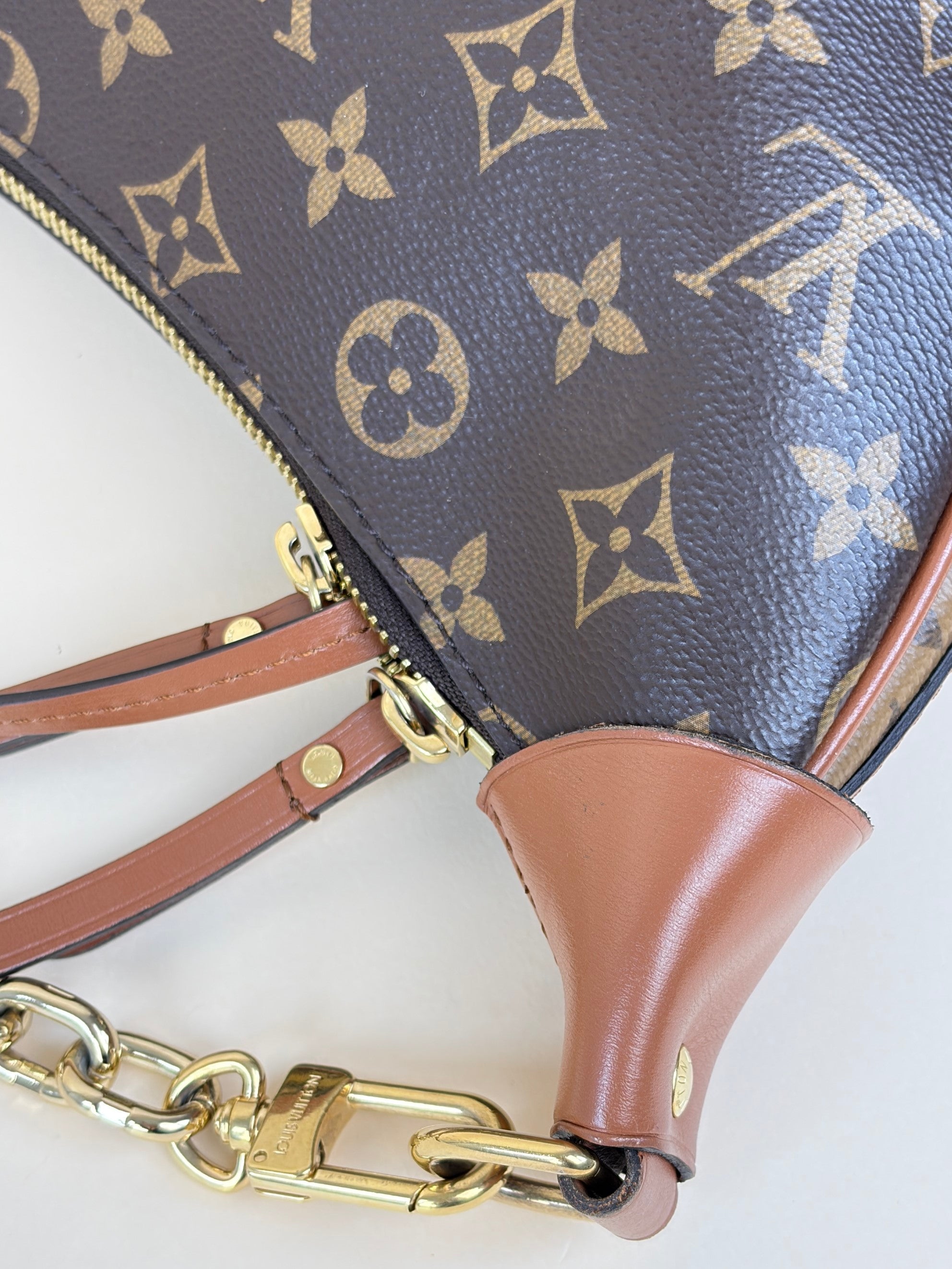 Louis Vuitton Monogram Reverse Loop Hobo Bag