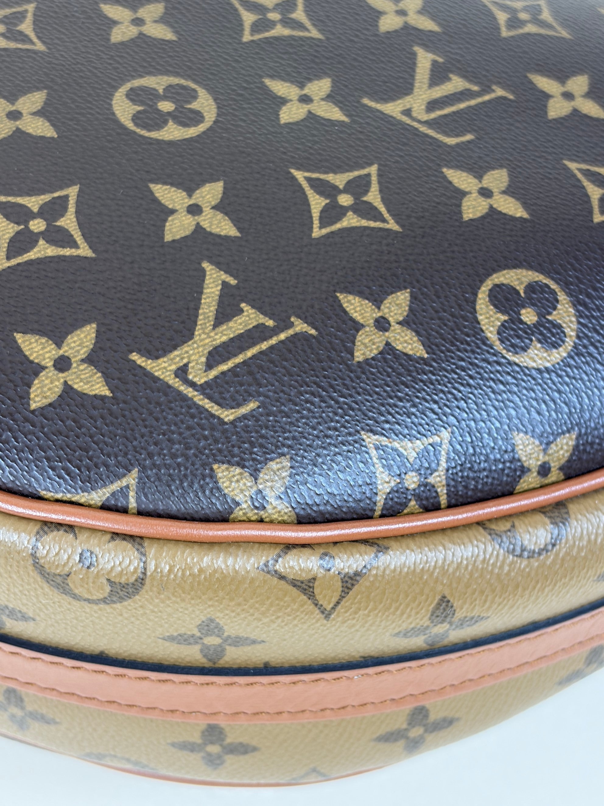 Louis Vuitton Monogram Reverse Loop Hobo Bag