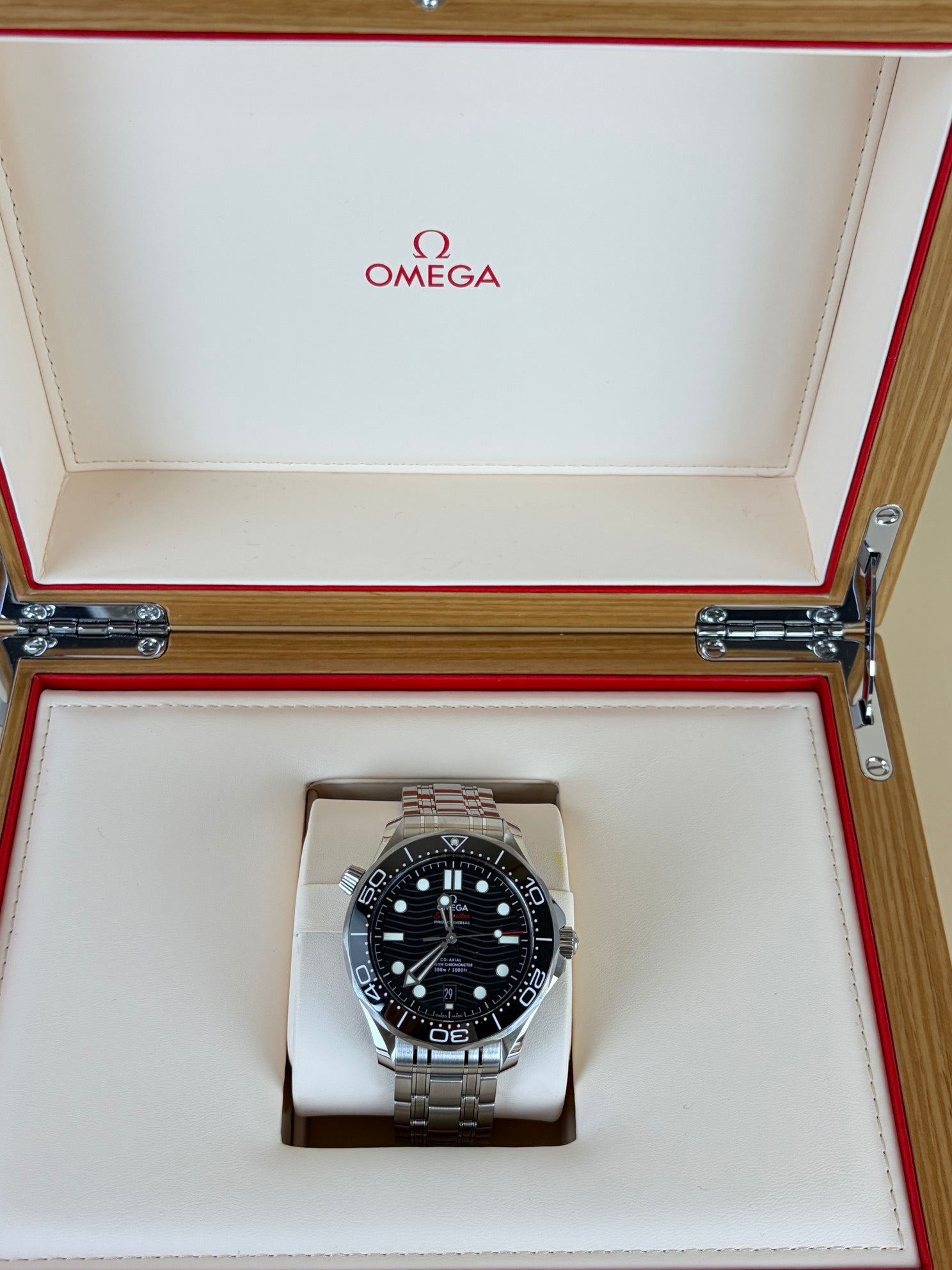 Omega Ted On Steel Master Diver 300m Watch