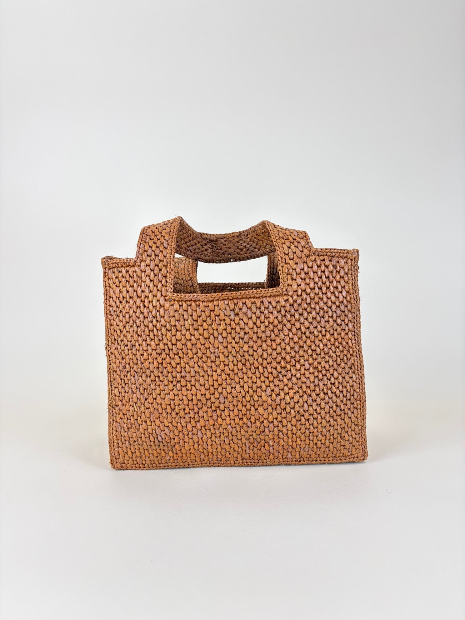 Loewe Bicolor Paula's Ibiza Raffia Font Small Tote Bag