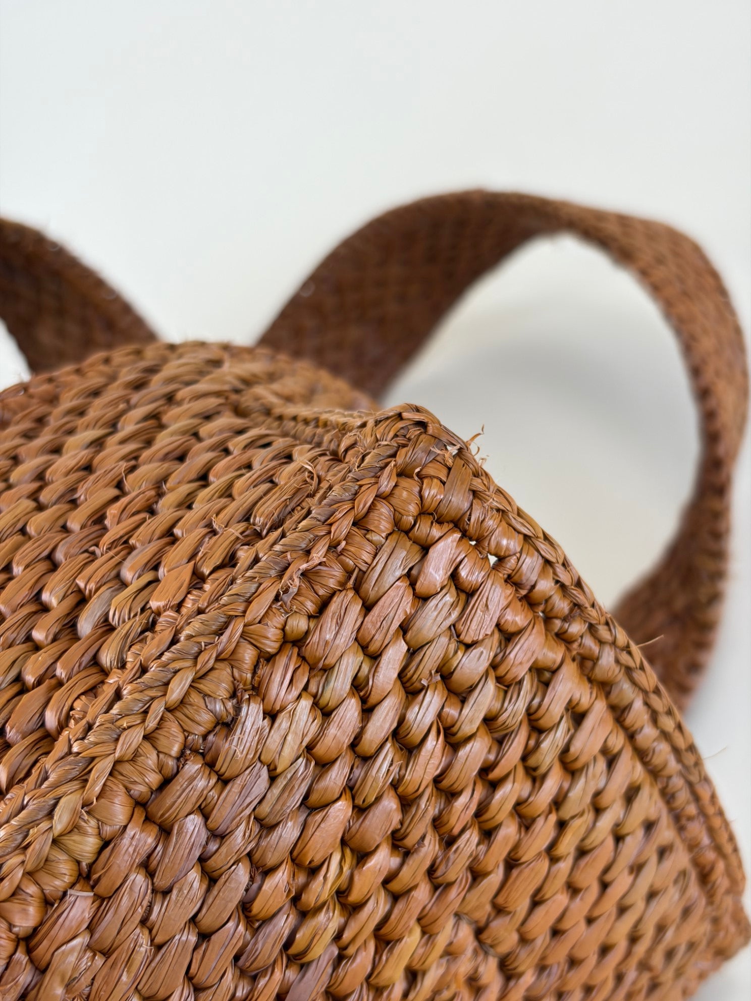 Loewe Bicolor Paula's Ibiza Raffia Font Small Tote Bag