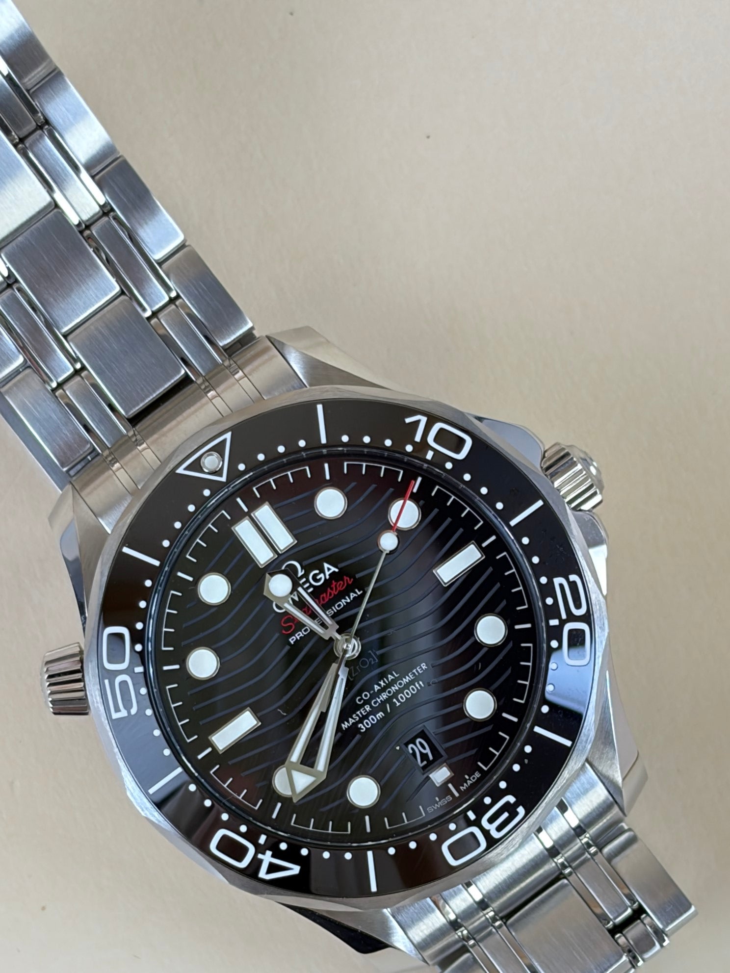Omega Ted On Steel Master Diver 300m Watch