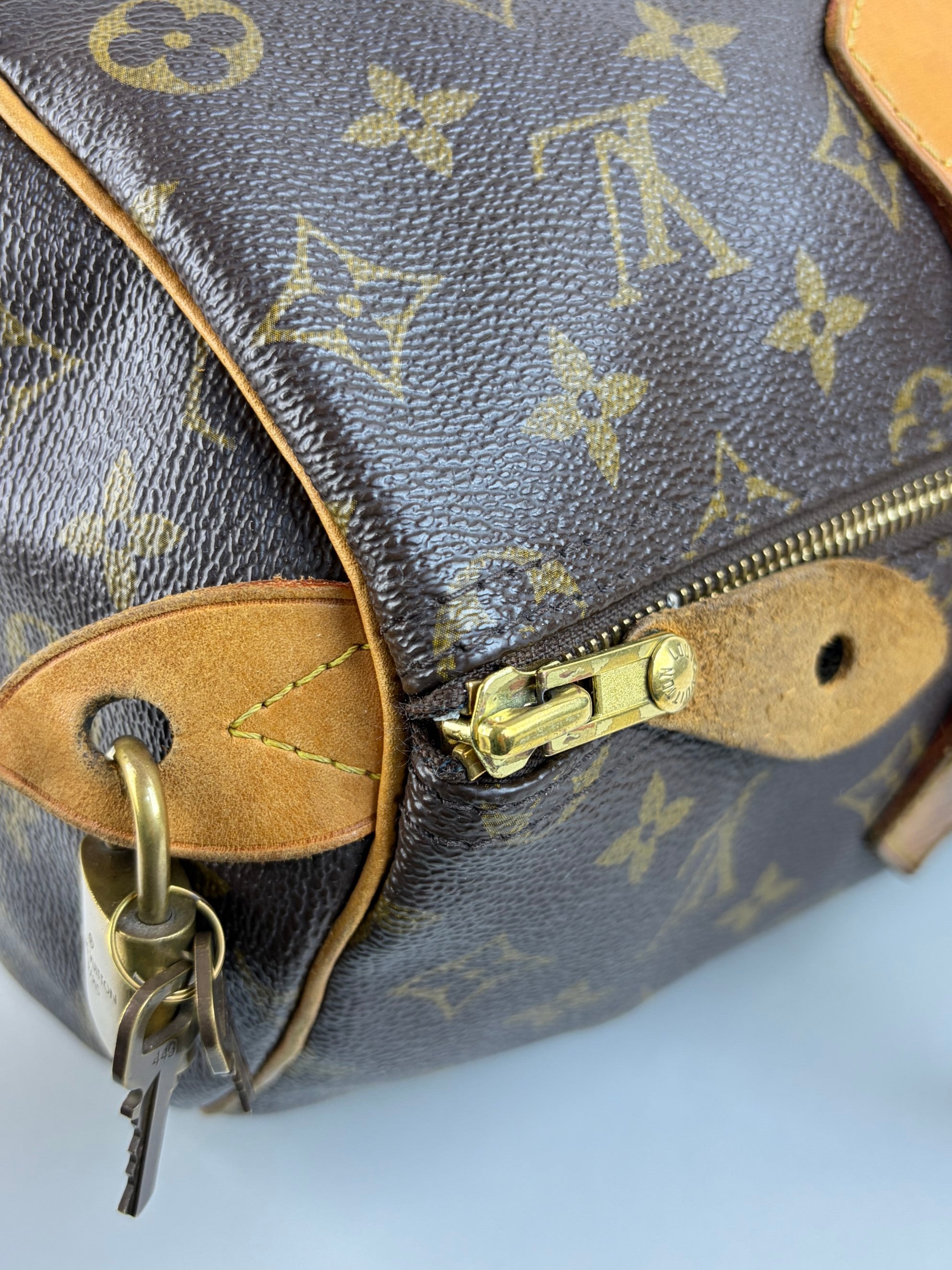 louis vuitton speedy monogram