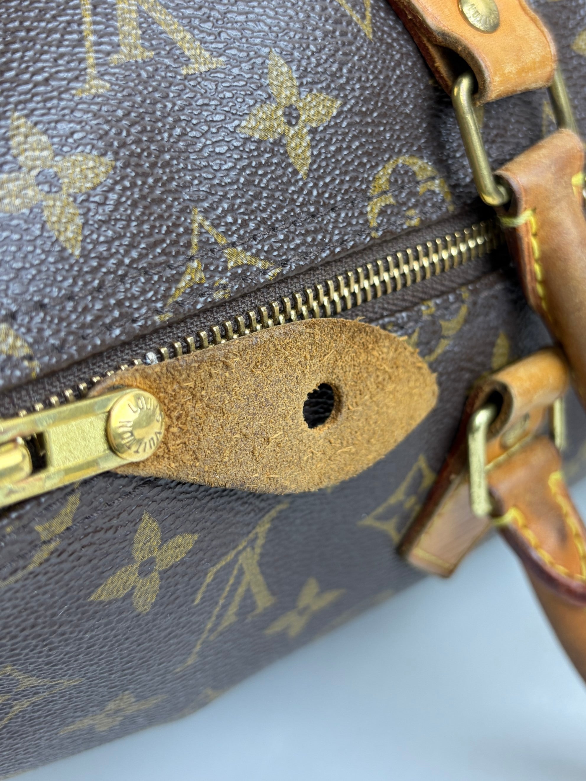 louis vuitton speedy monogram