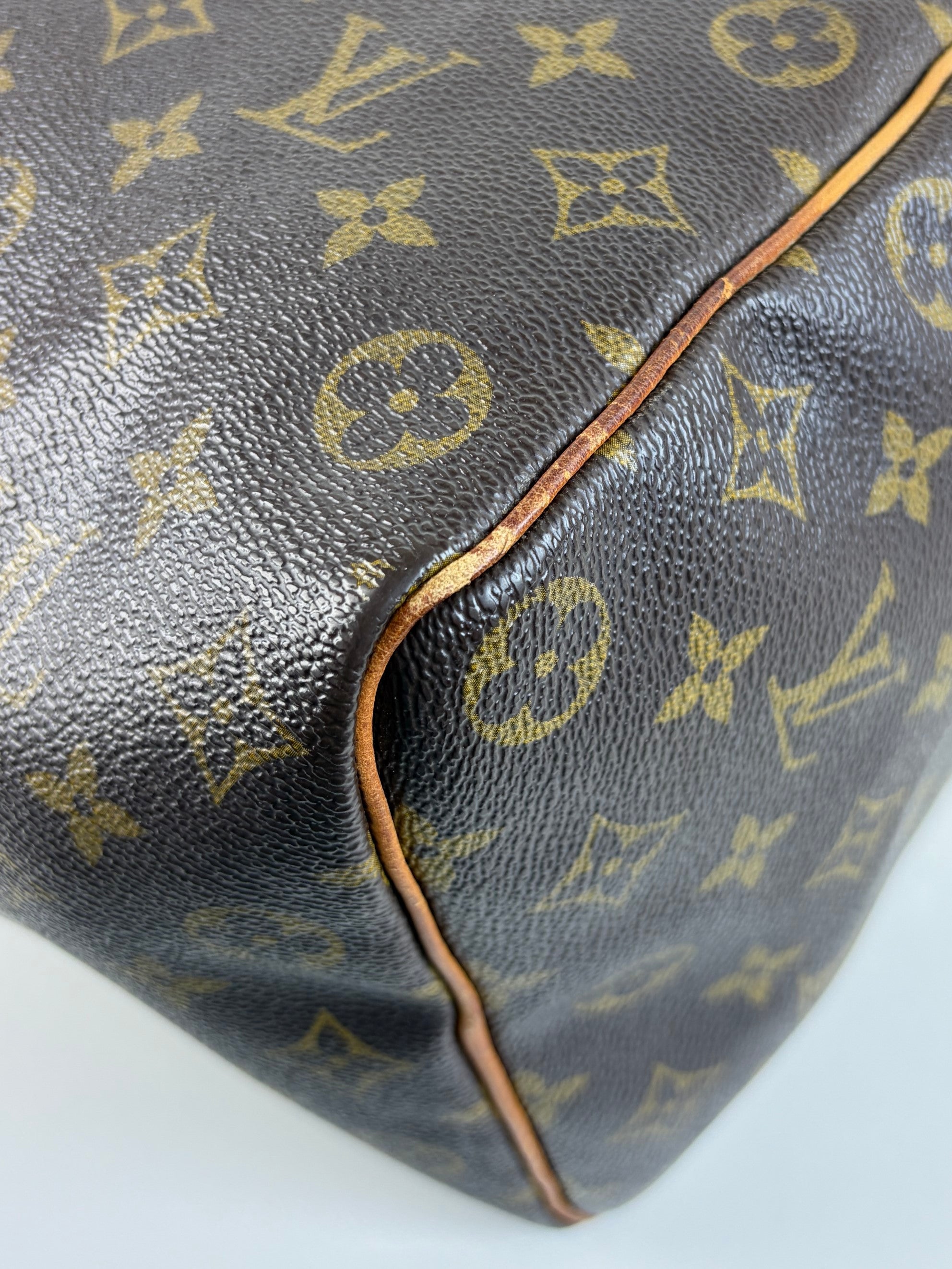 louis vuitton speedy monogram