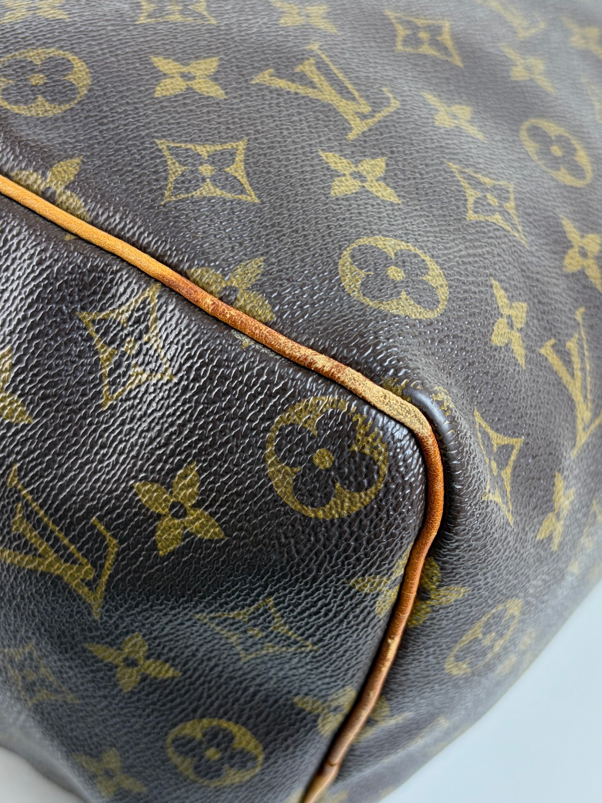 louis vuitton speedy monogram