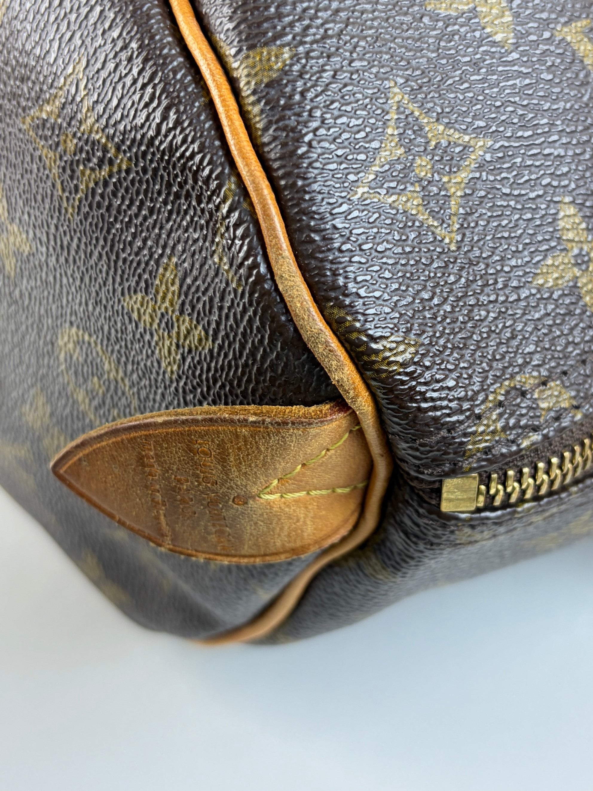 louis vuitton speedy monogram
