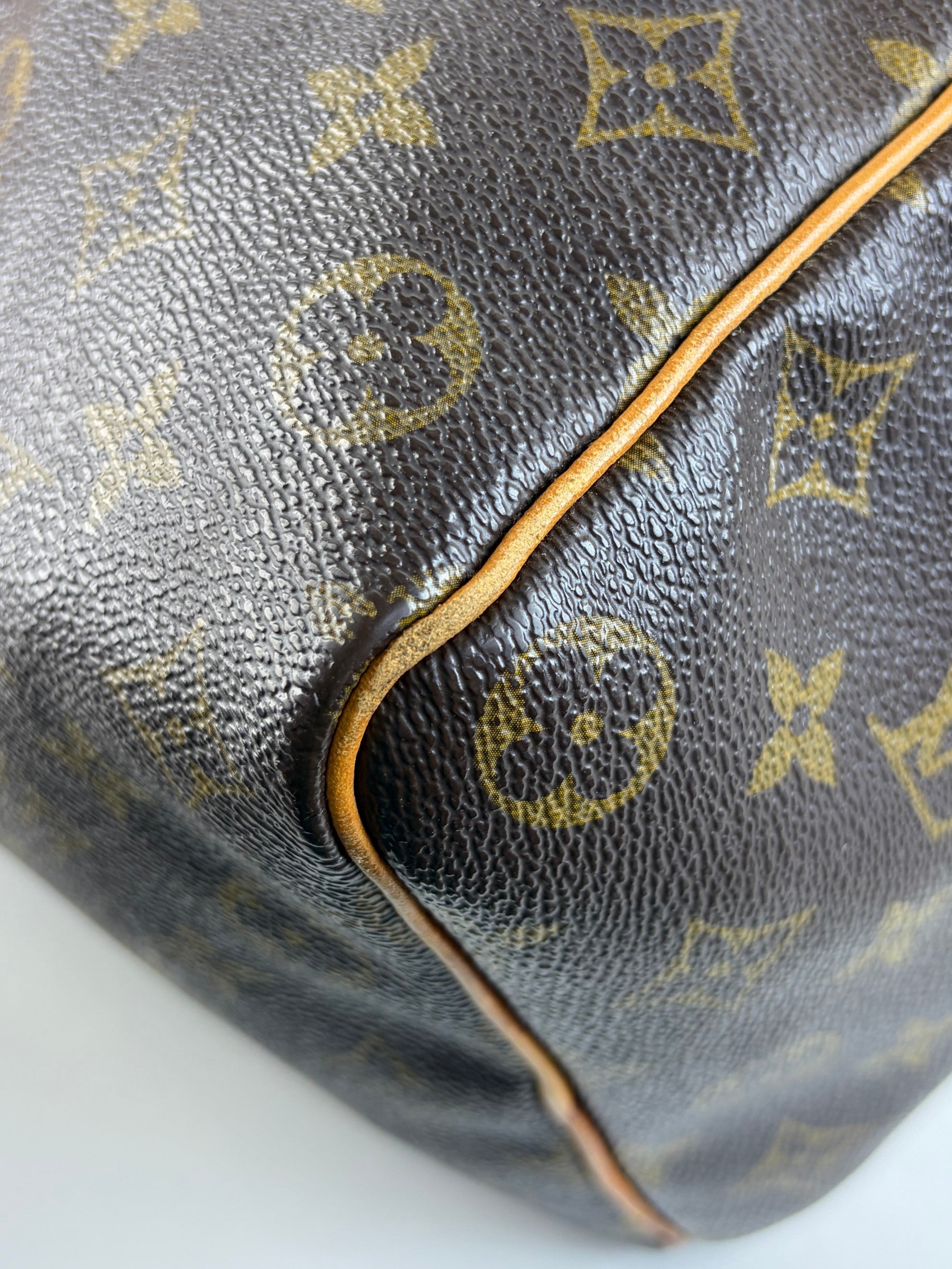 louis vuitton speedy monogram