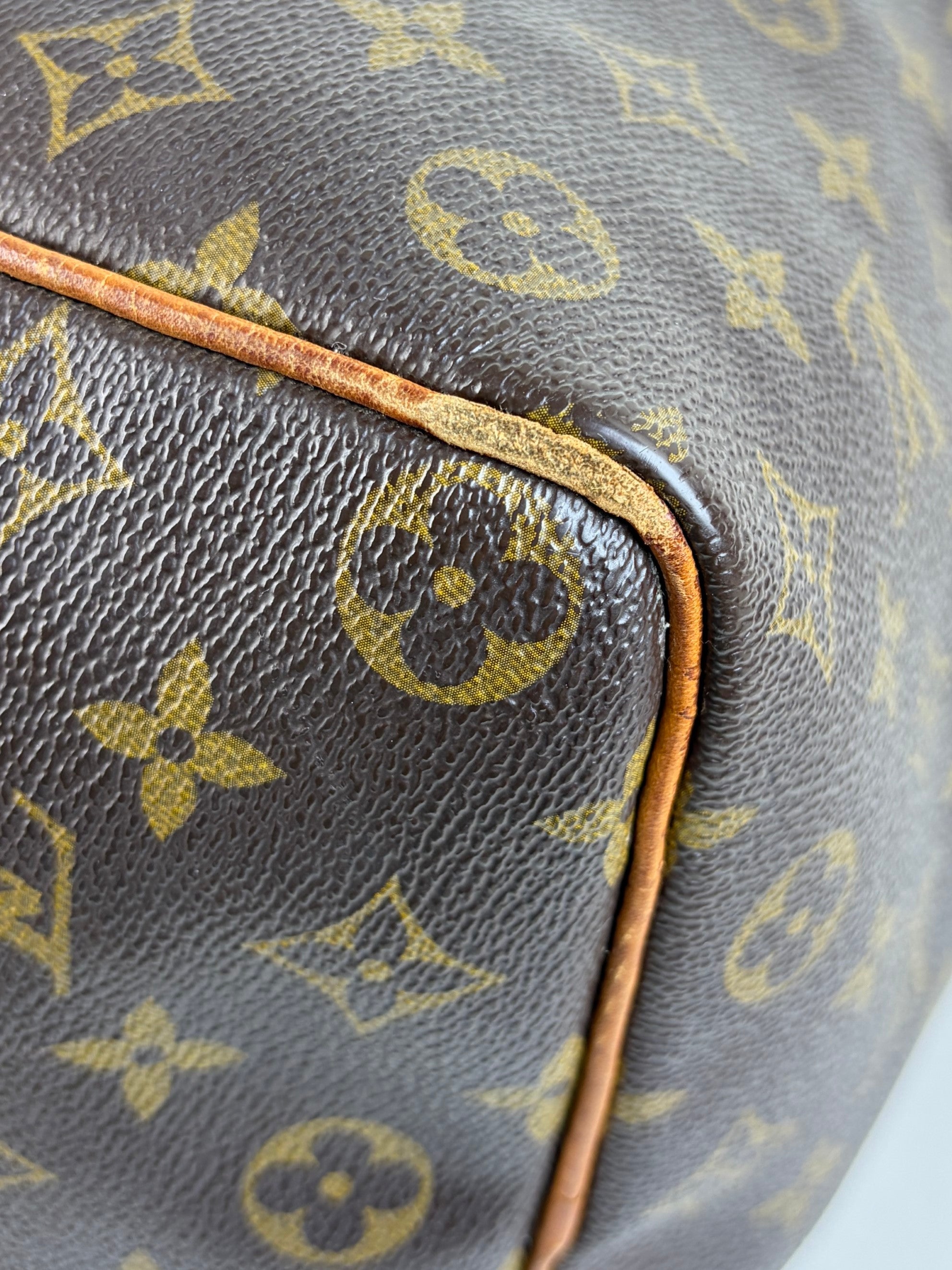 louis vuitton speedy monogram