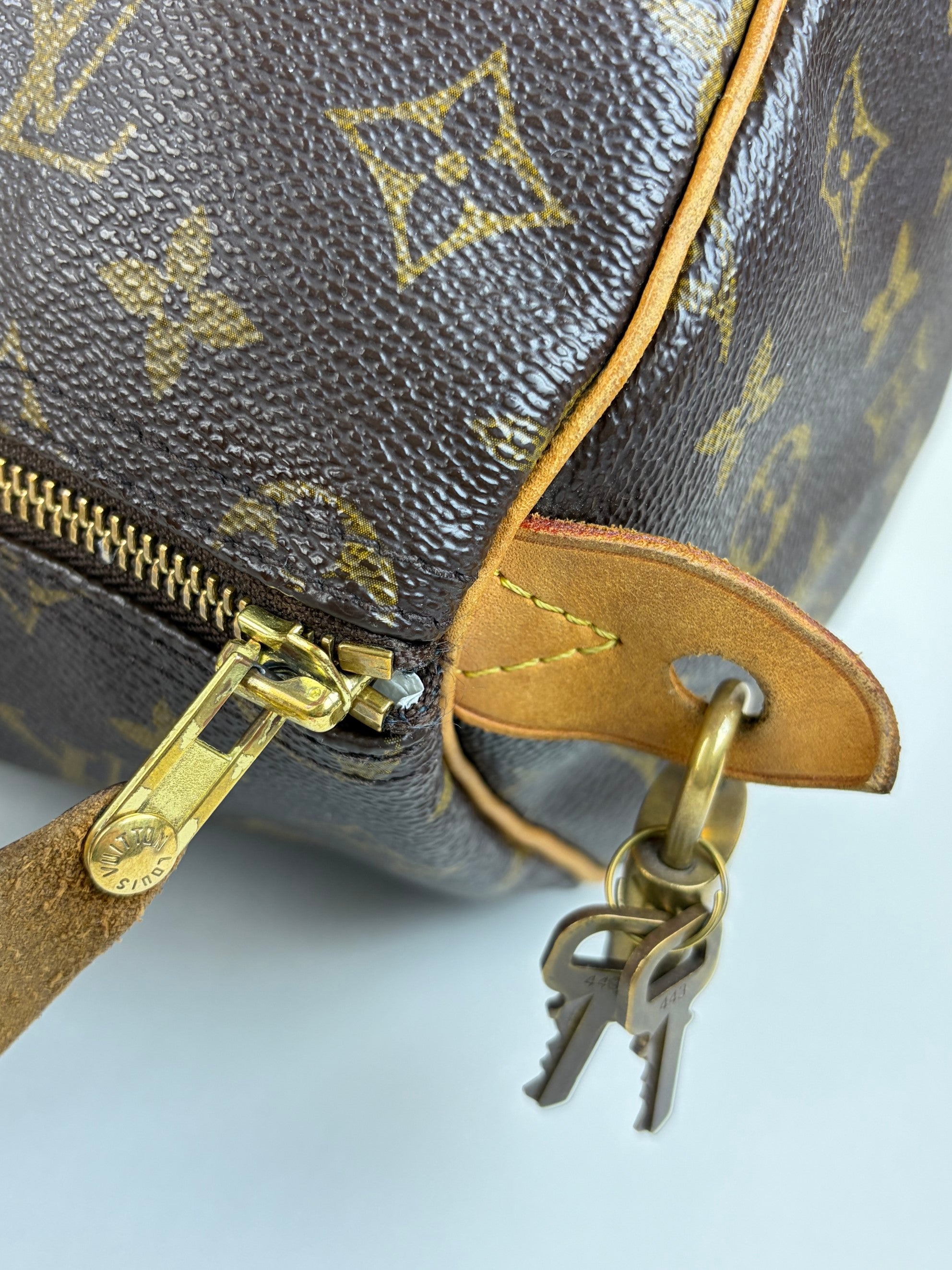 louis vuitton speedy monogram