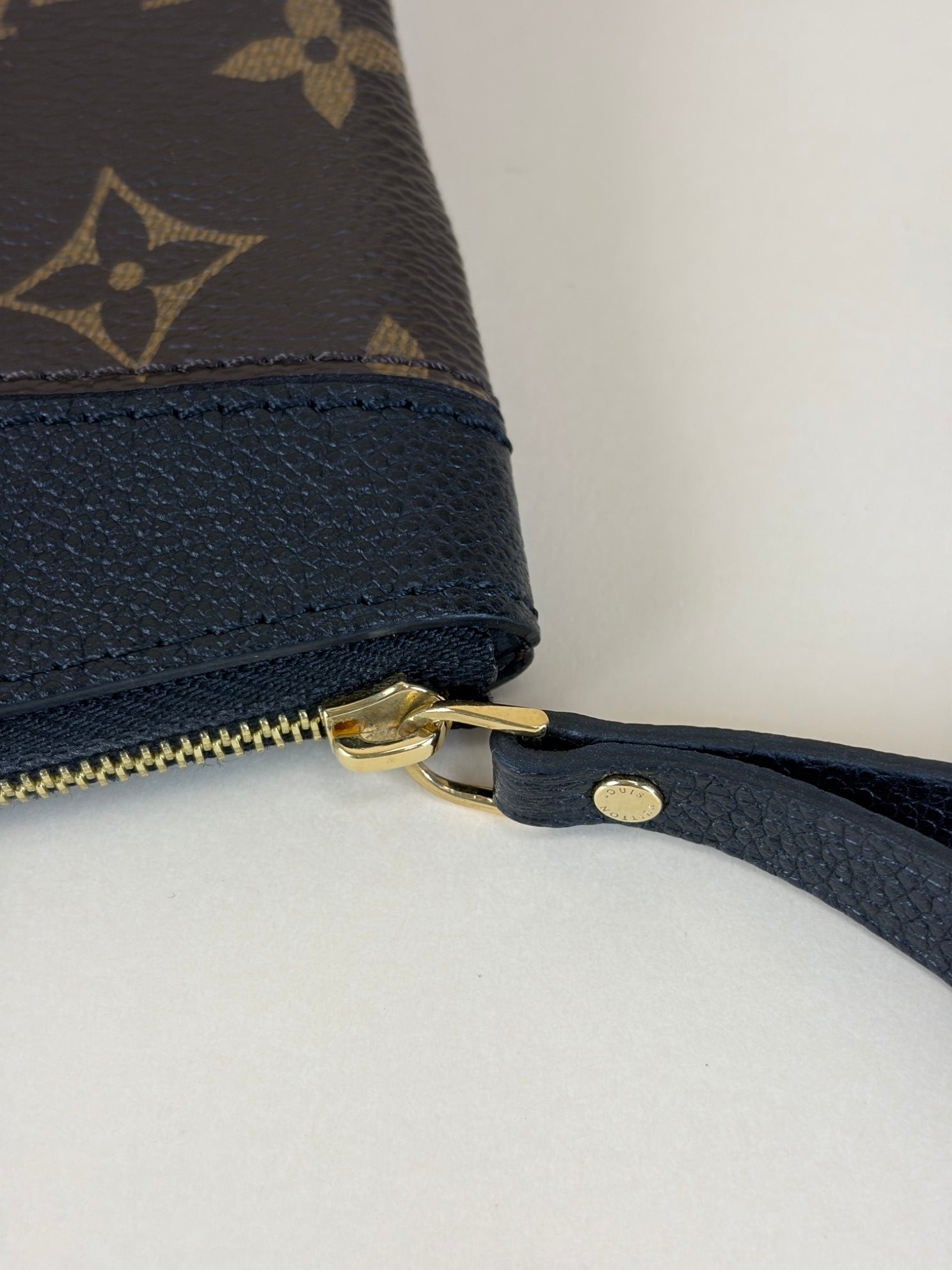 Louis Vuitton Monogram Daily Pouch