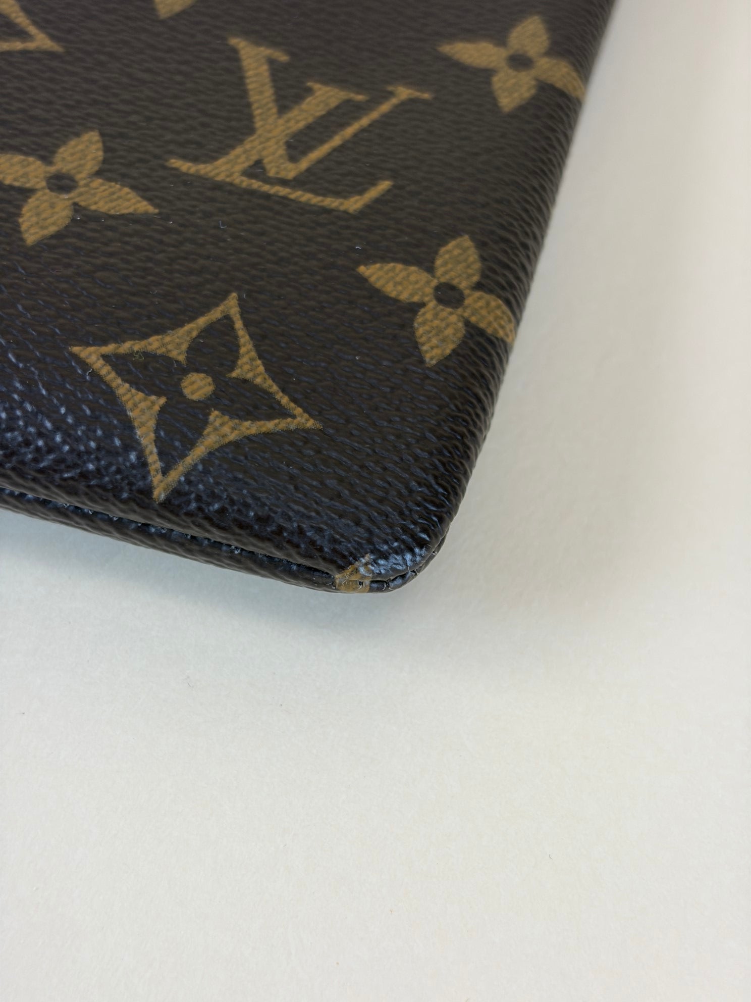 Louis Vuitton Monogram Daily Pouch