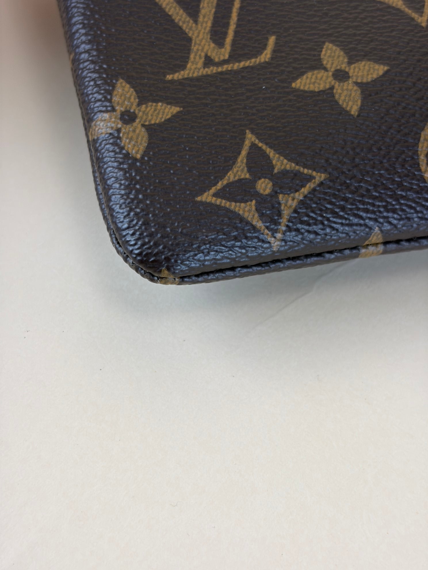 Louis Vuitton Monogram Daily Pouch