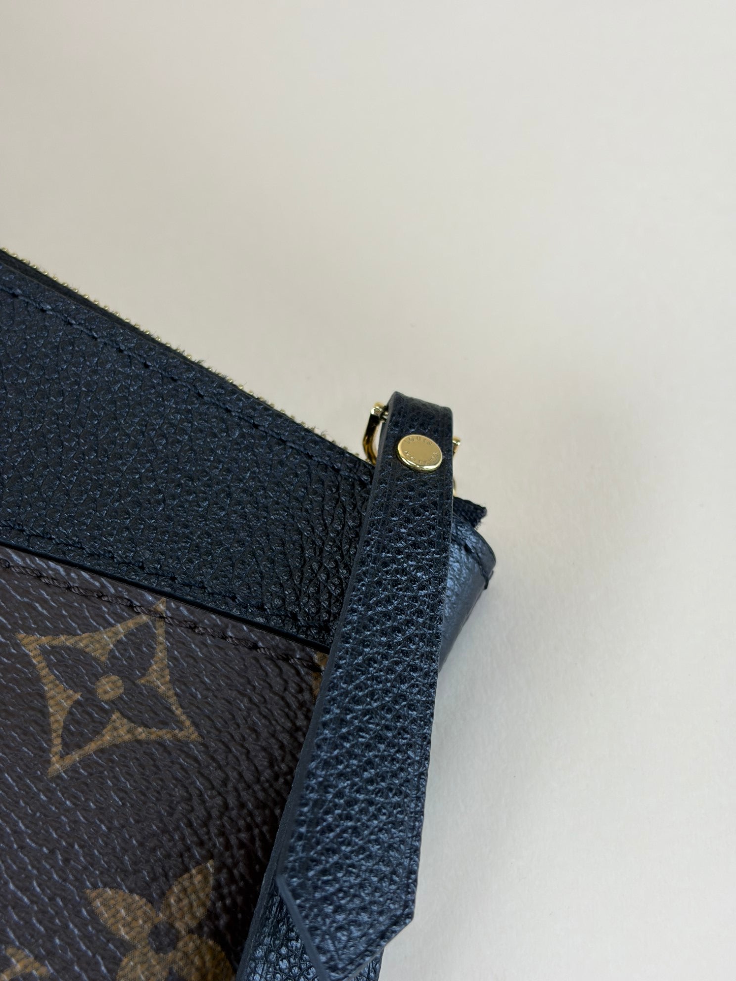 Louis Vuitton Monogram Daily Pouch