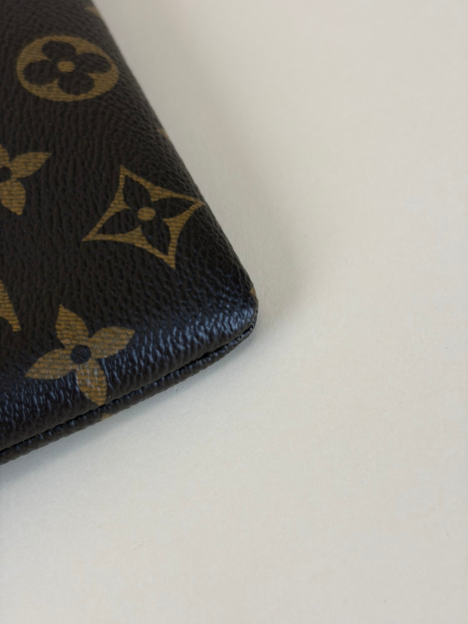 Louis Vuitton Monogram Daily Pouch