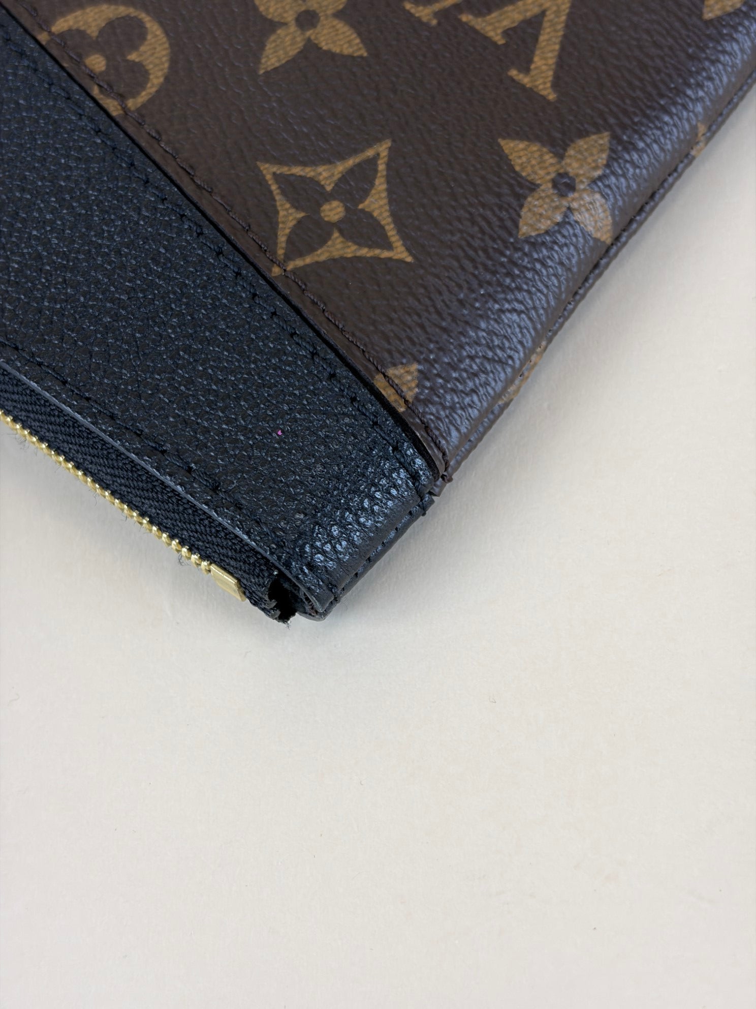 Louis Vuitton Monogram Daily Pouch