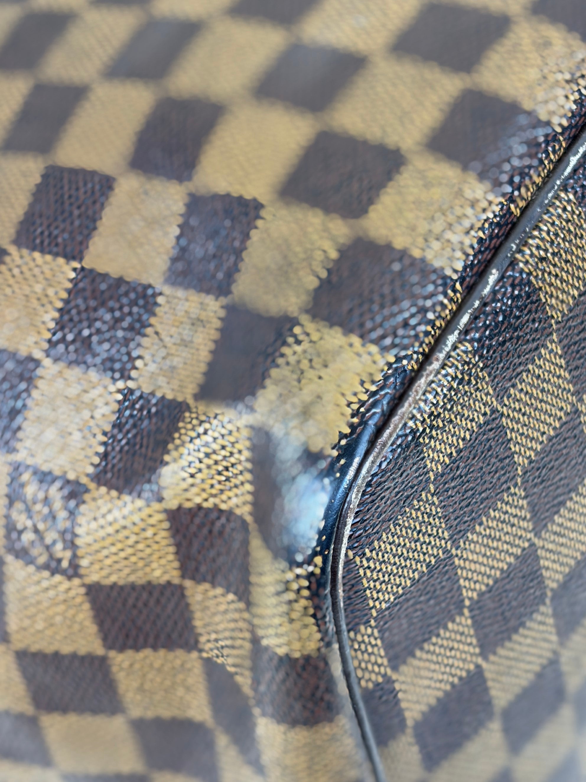 Louis Vuitton Damier Ebene Saleya MM Tote Bag
