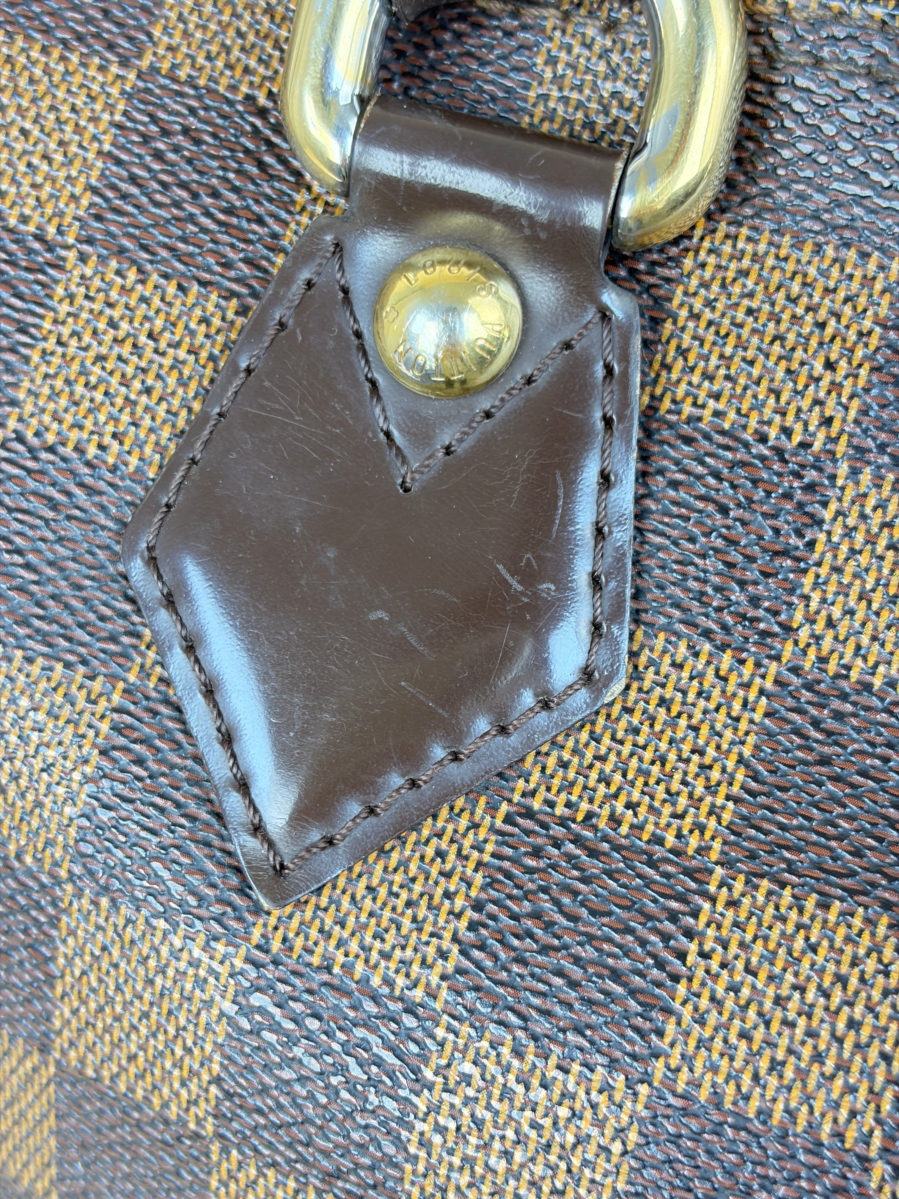 Louis Vuitton Damier Ebene Saleya MM Tote Bag