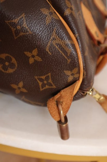 Louis Vuitton Monogram Speedy 30 Bag