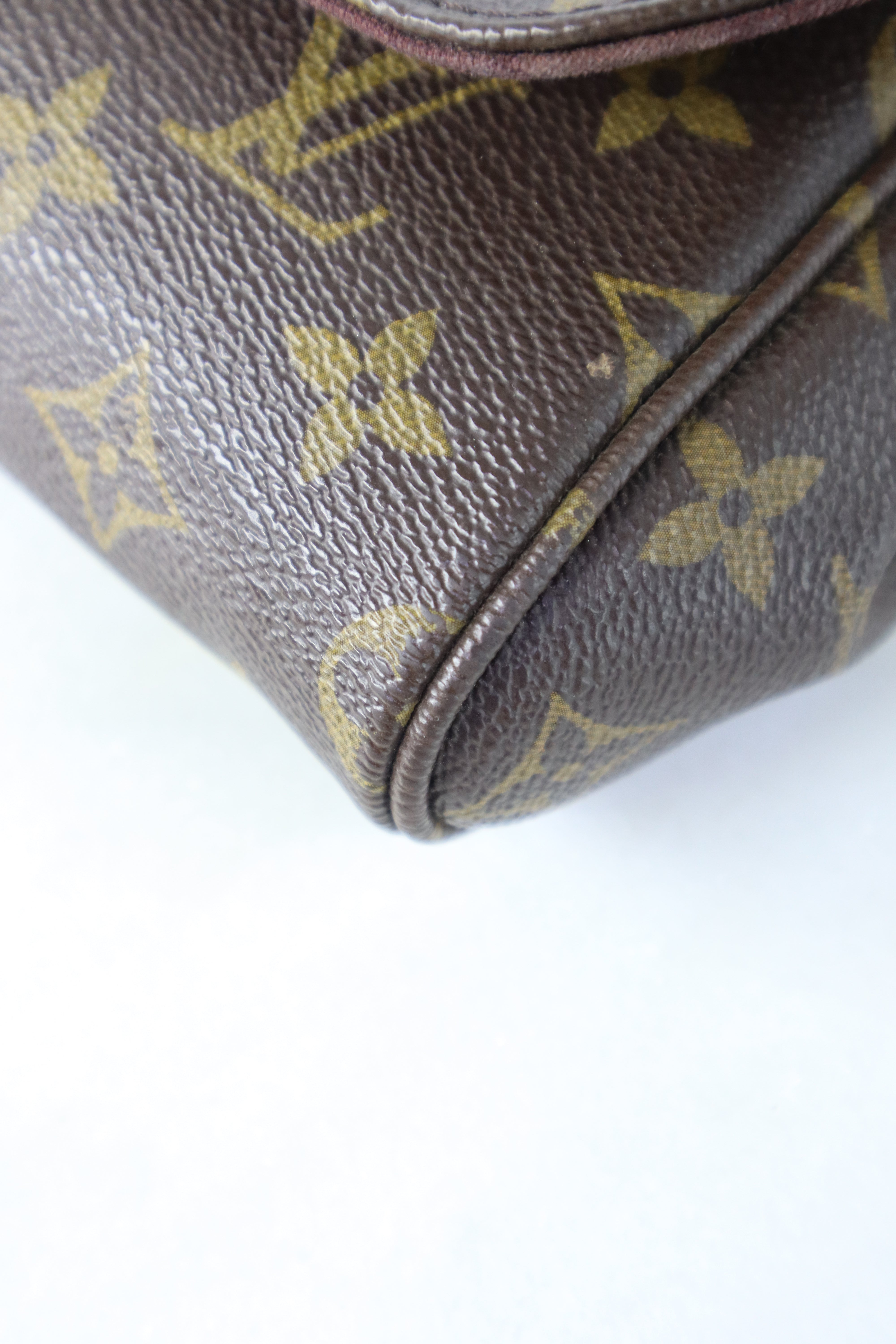 Louis Vuitton Monogram Favorite MM Bag