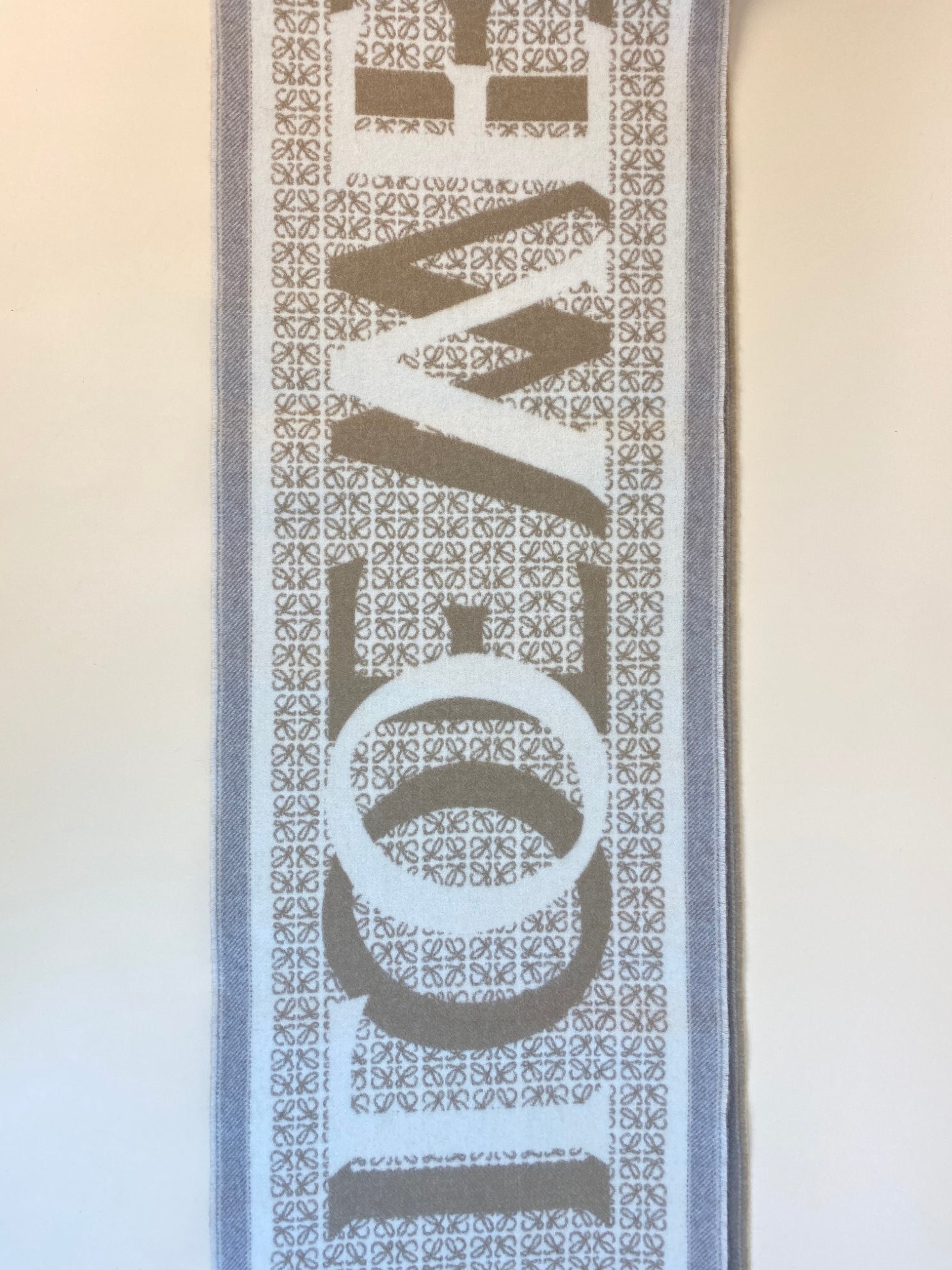 Loewe Bicolor Anagram Scarf