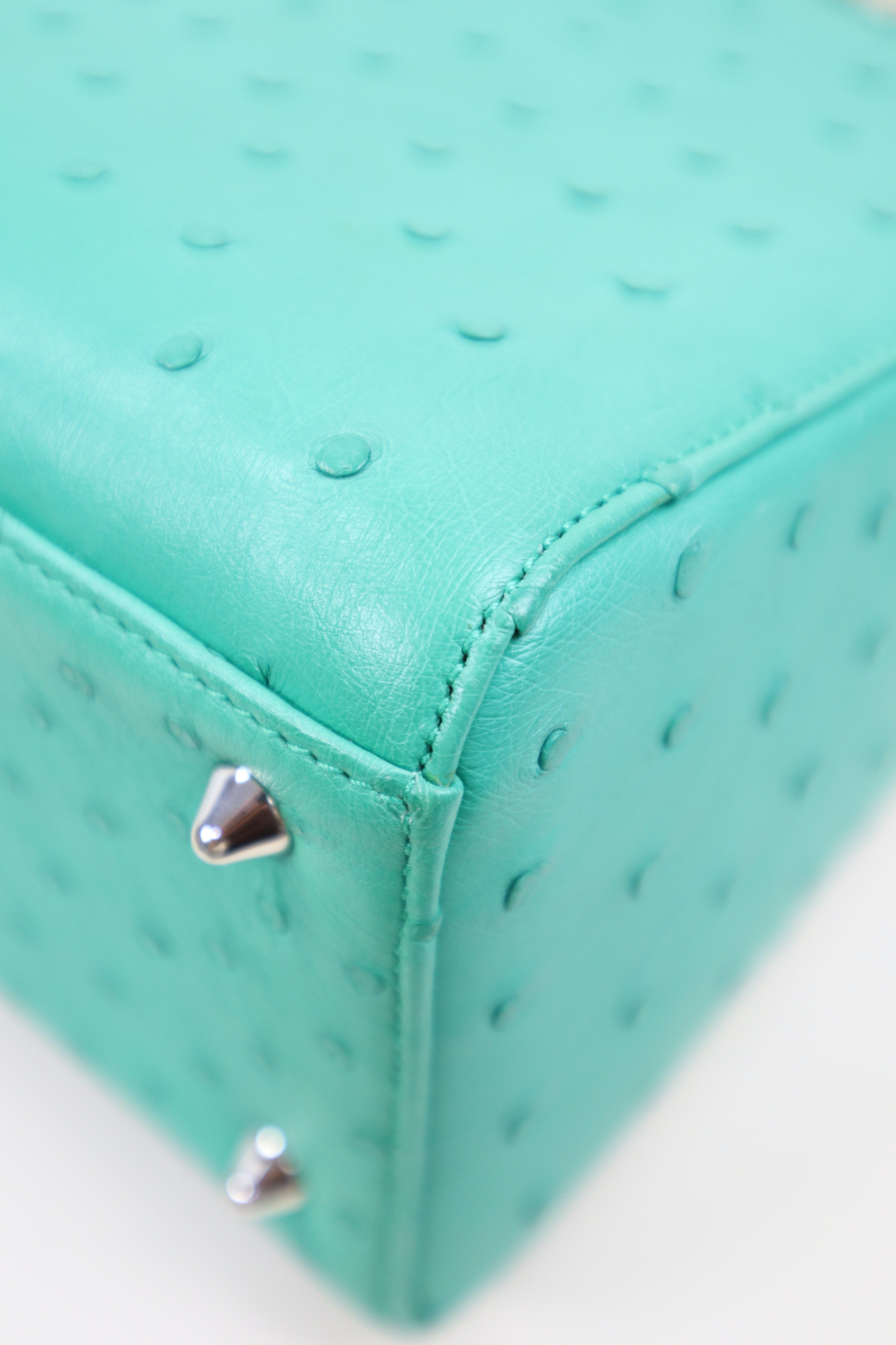 Christian Dior Mint Green Ostrich Medium Lady Dior Tote Bag