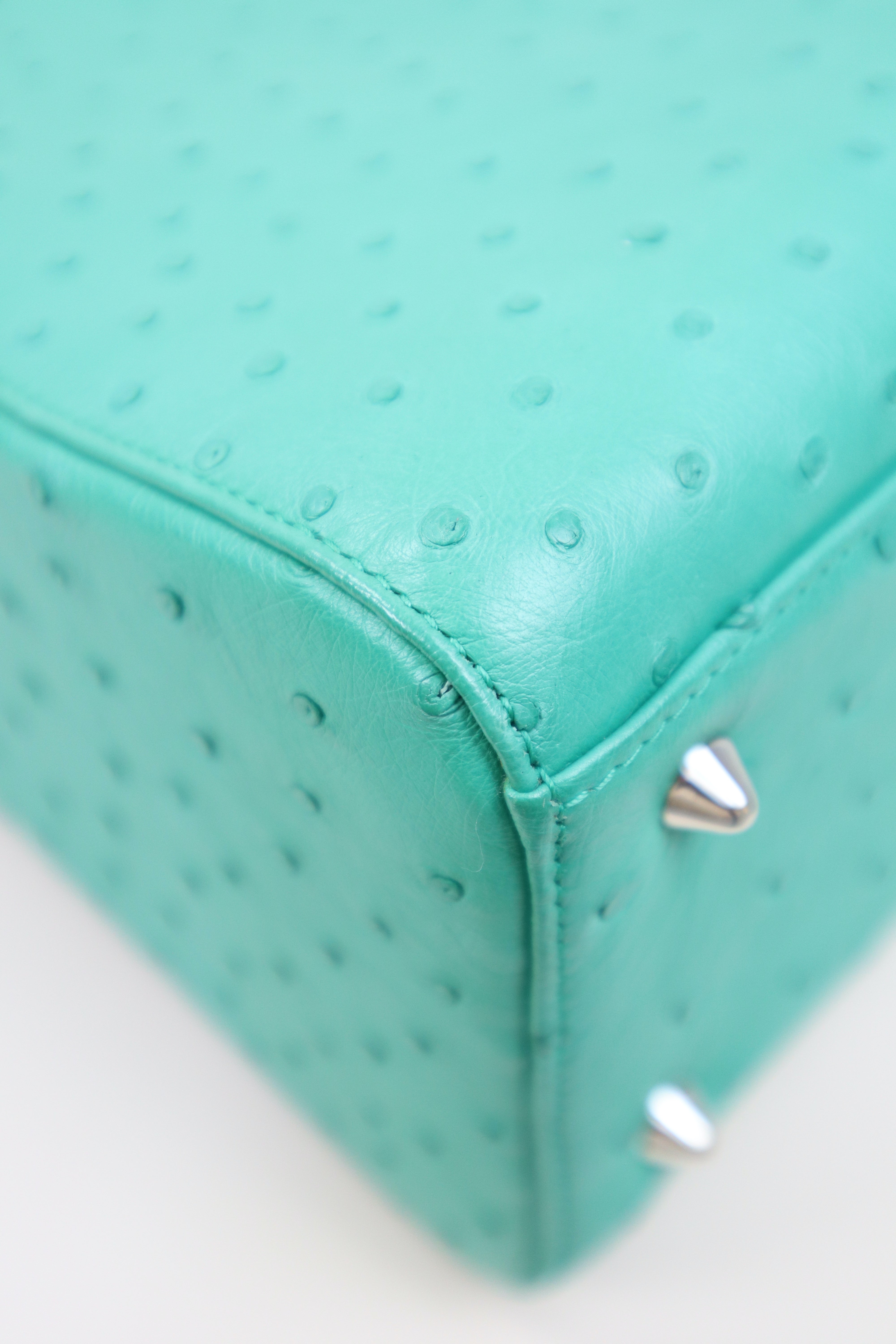Christian Dior Mint Green Ostrich Medium Lady Dior Tote Bag