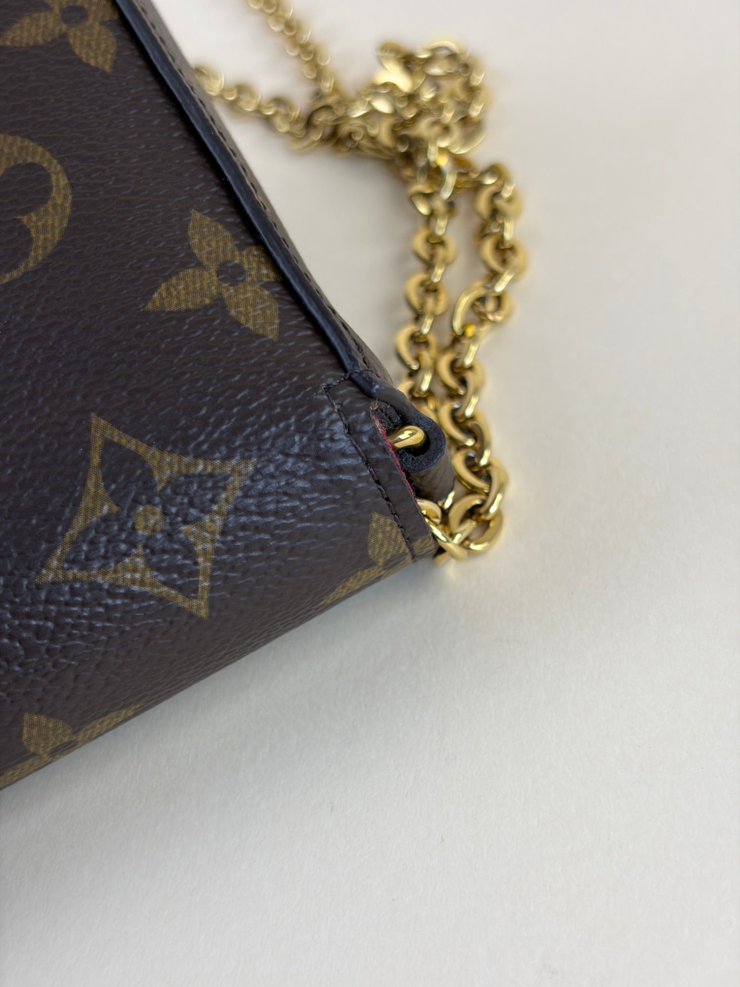 Louis Vuitton Monogram Pochette Felicie Bag