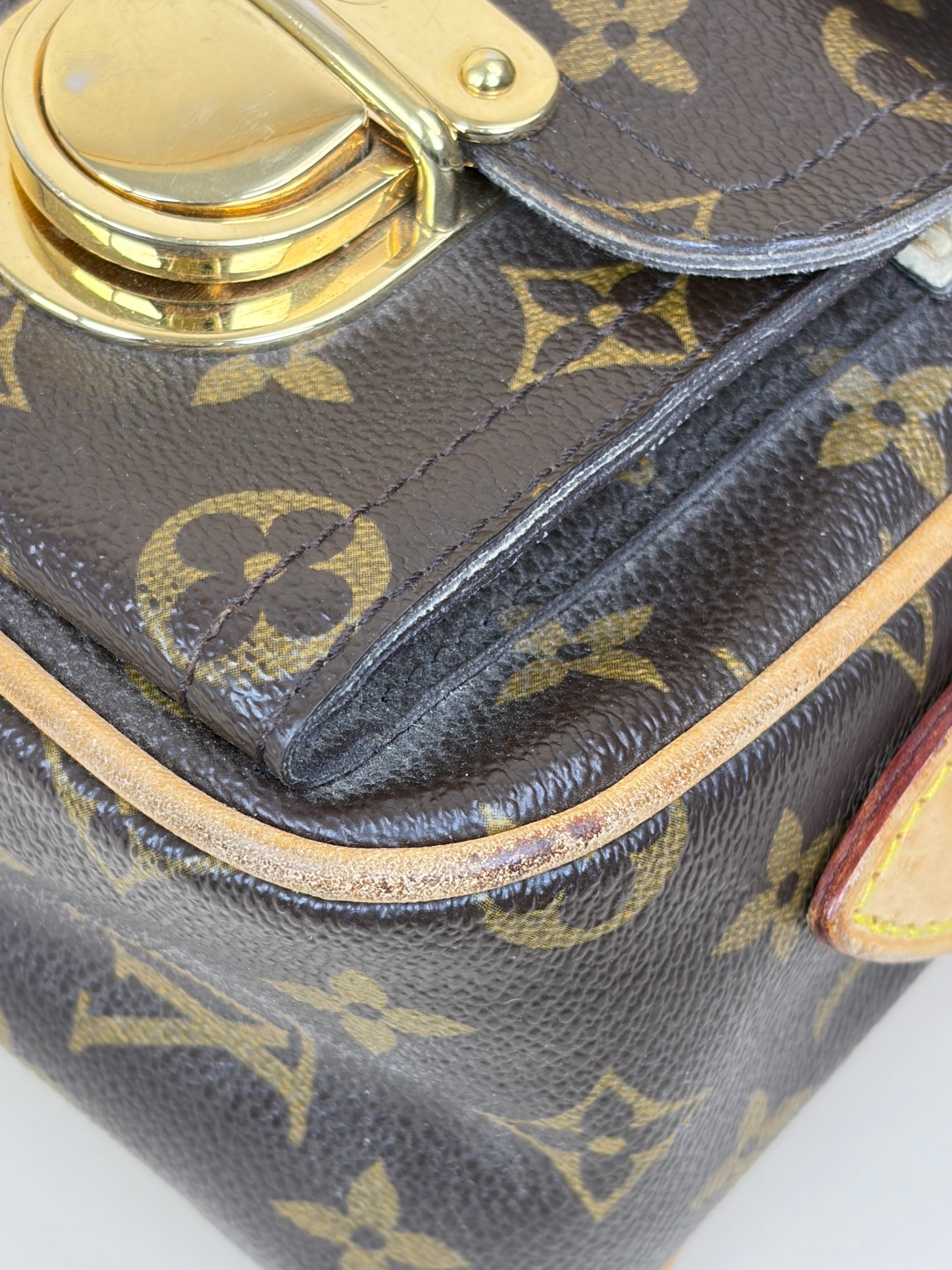 Louis Vuitton Monogram Hudson PM Shoulder Bag