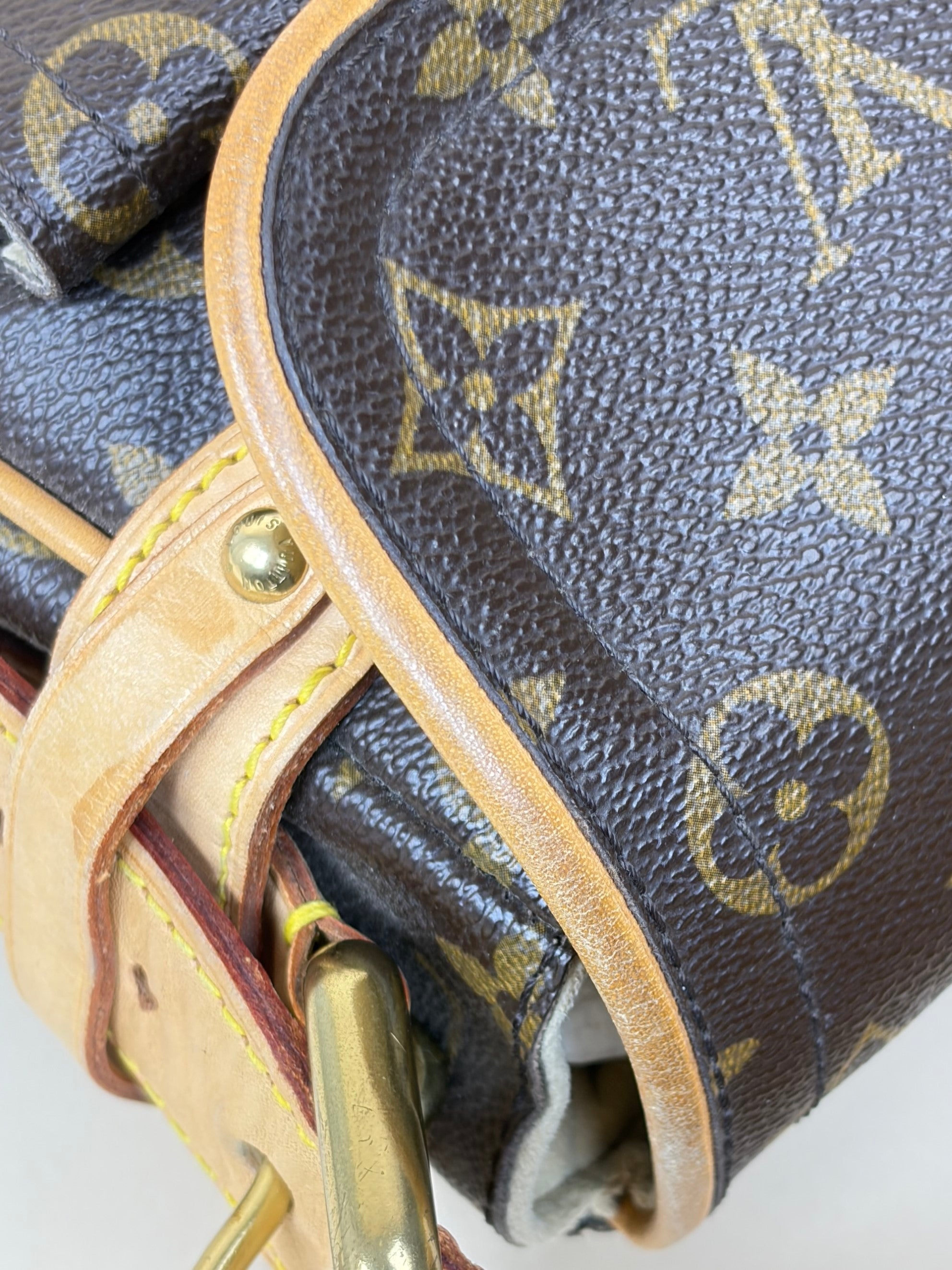 Louis Vuitton Monogram Hudson PM Shoulder Bag
