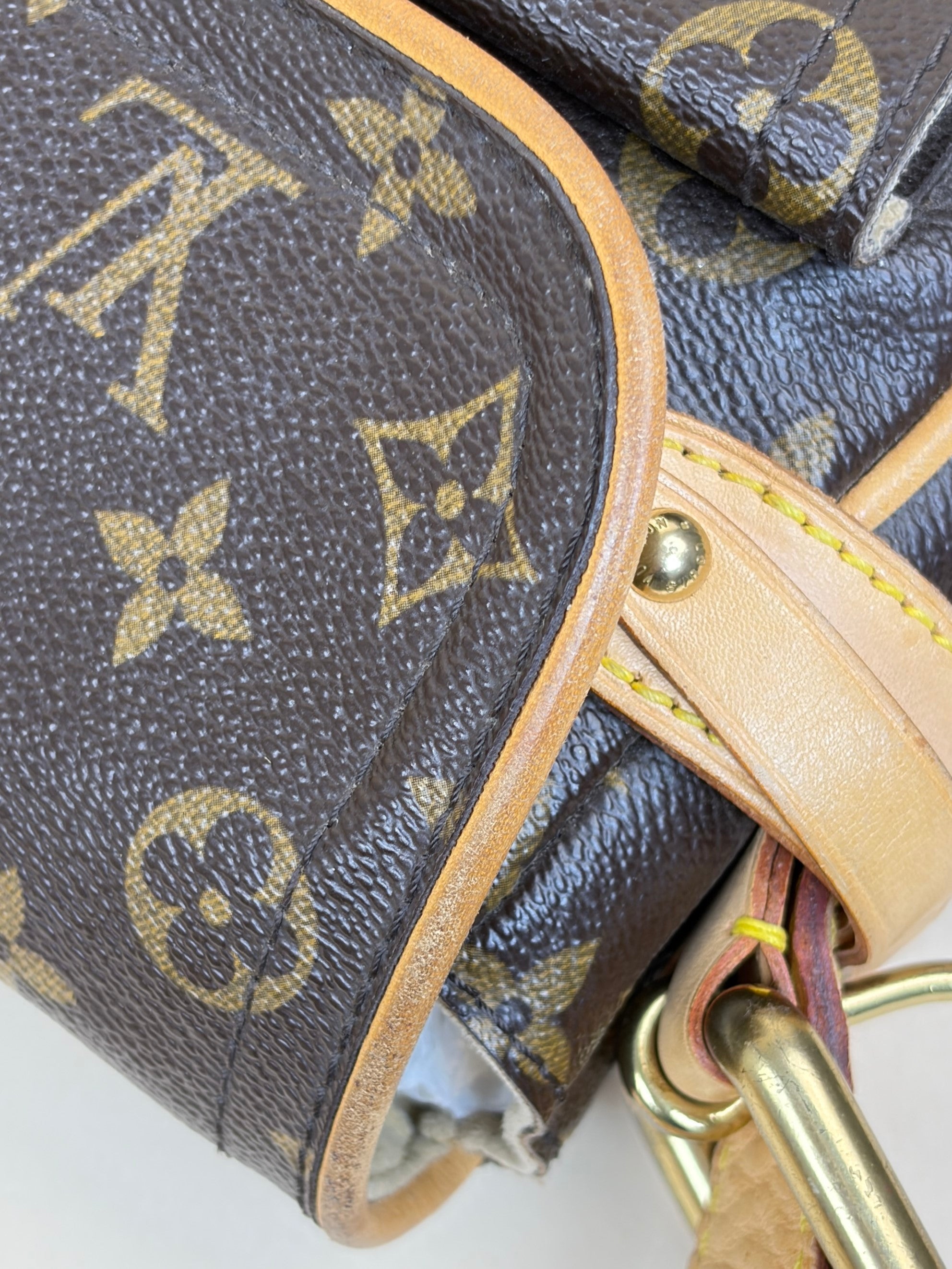 Louis Vuitton Monogram Hudson PM Shoulder Bag
