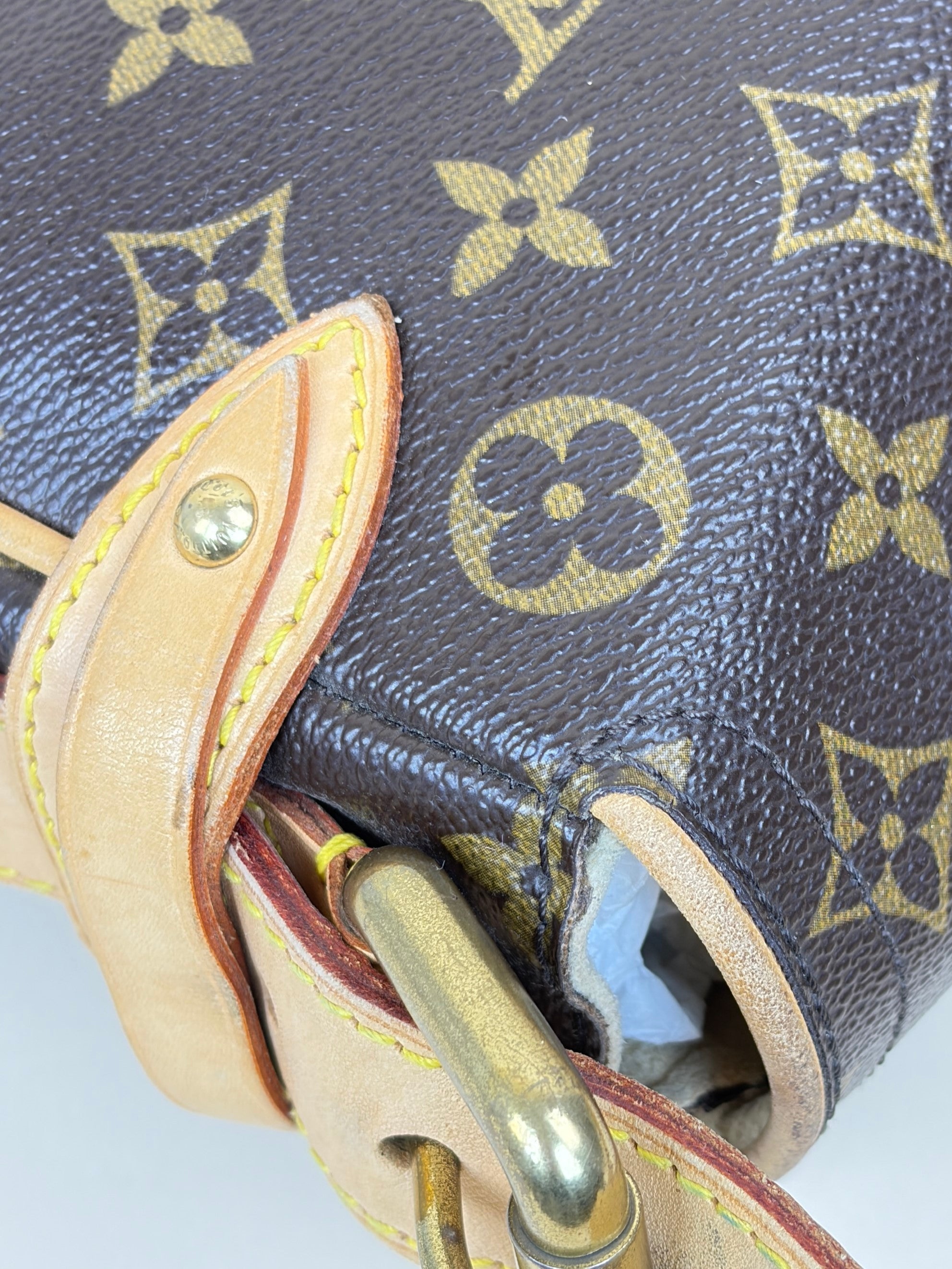 Louis Vuitton Monogram Hudson PM Shoulder Bag