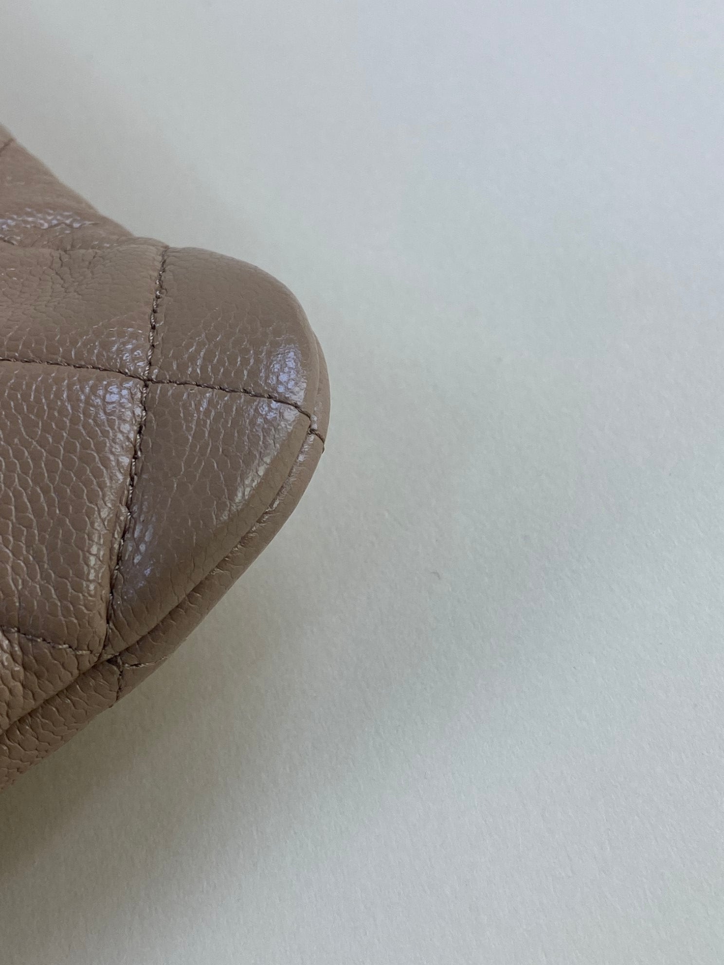 Chanel Camel Classic Zipped Medium Pouch