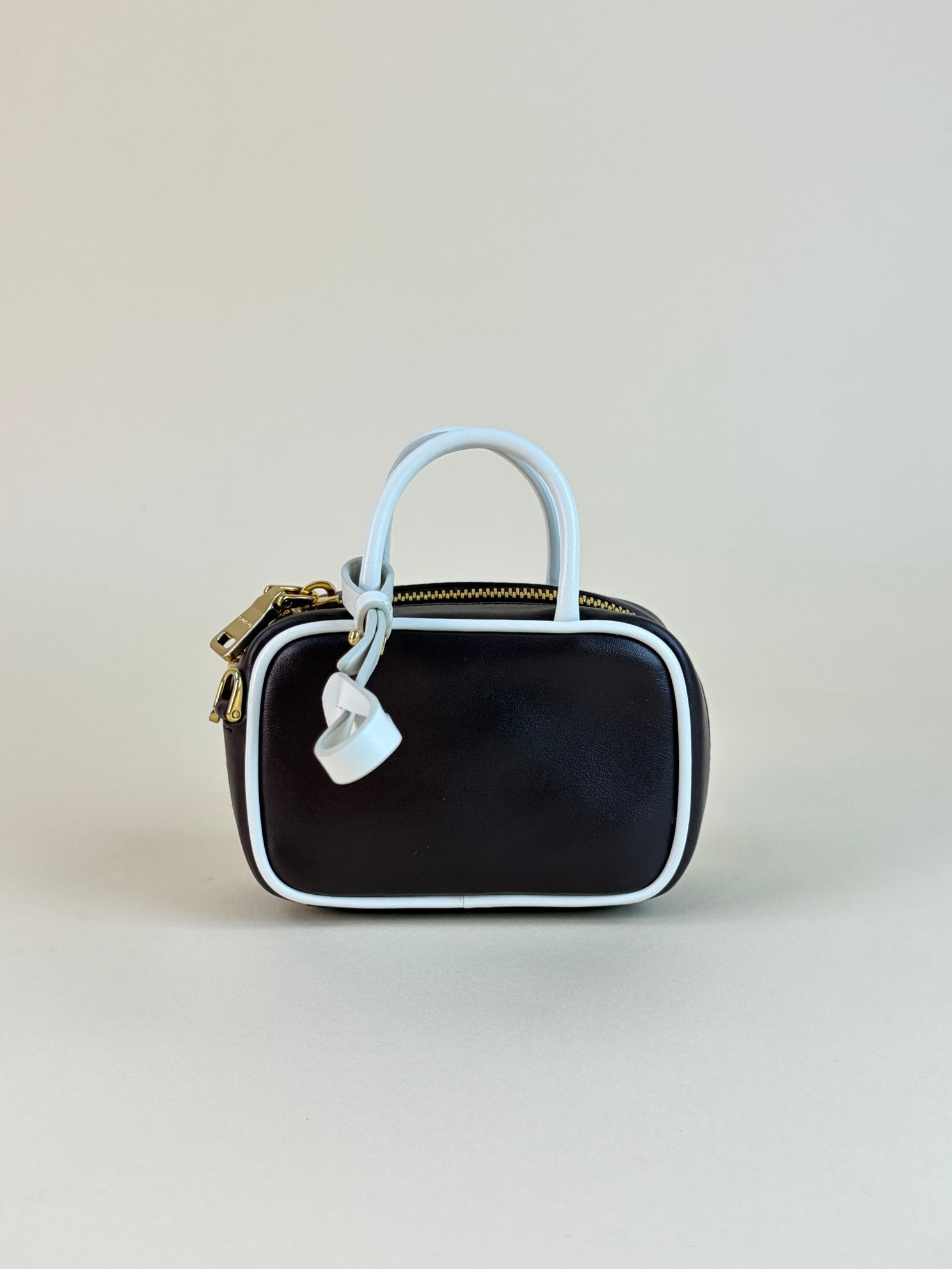 Miu Miu Bicolor Beau Micro Bag