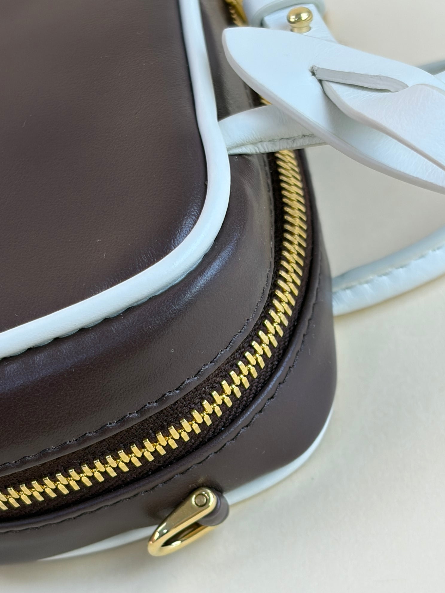 Miu Miu Bicolor Beau Micro Bag