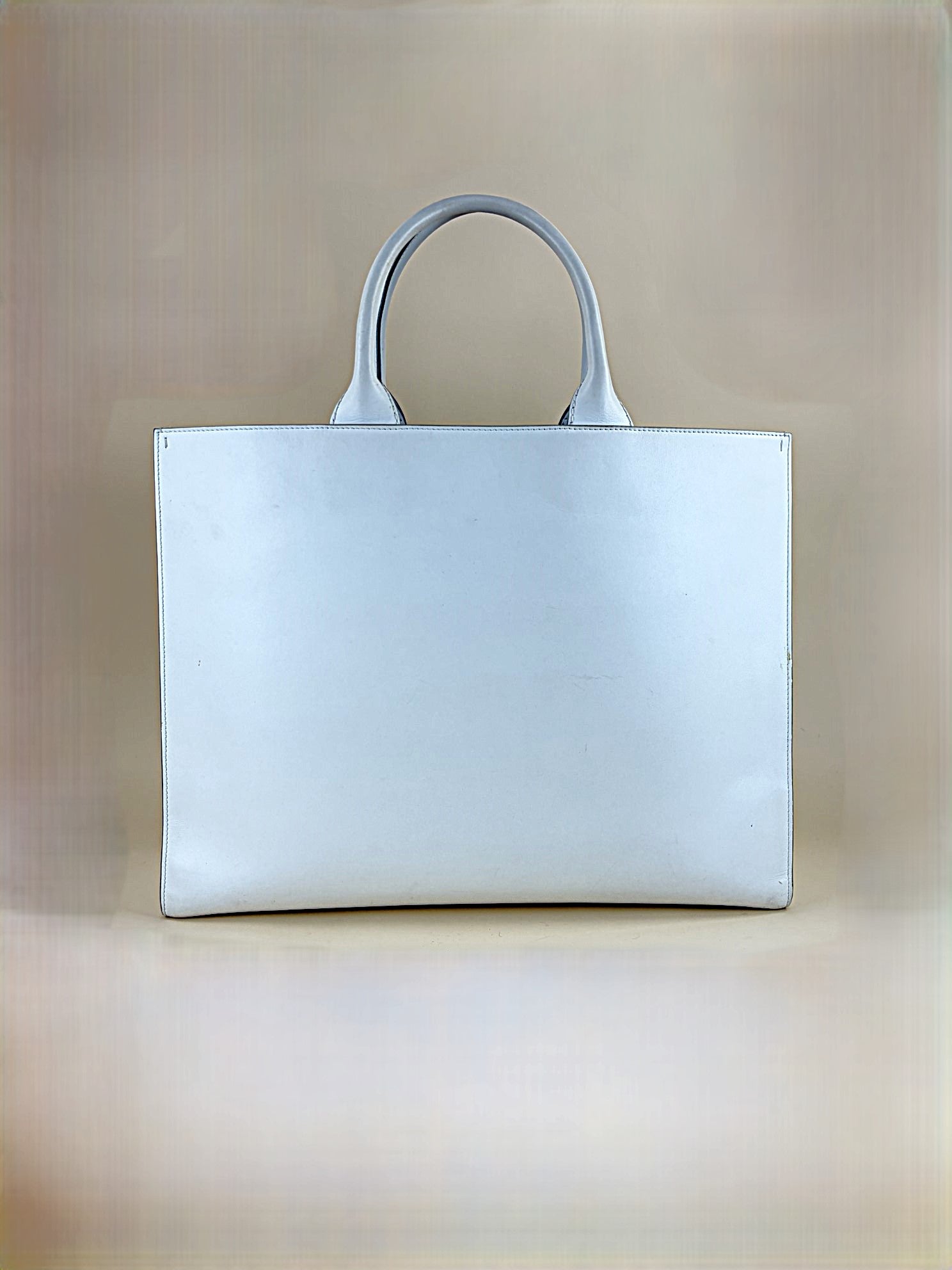 Dolce & Gabbana Bicolor DG Logo Shopper Bag