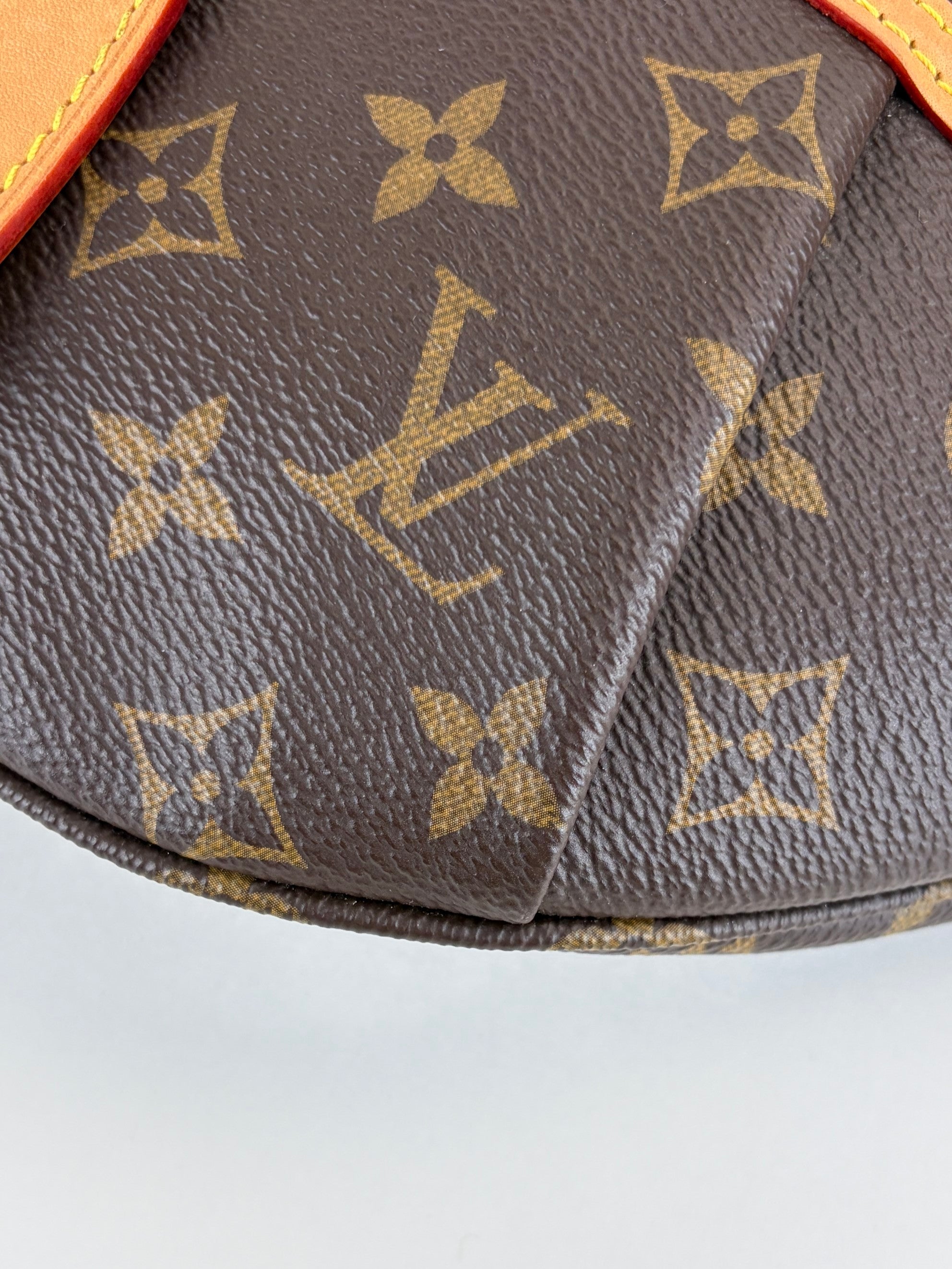 Louis Vuitton Monogram canvas High Rise Bumbag