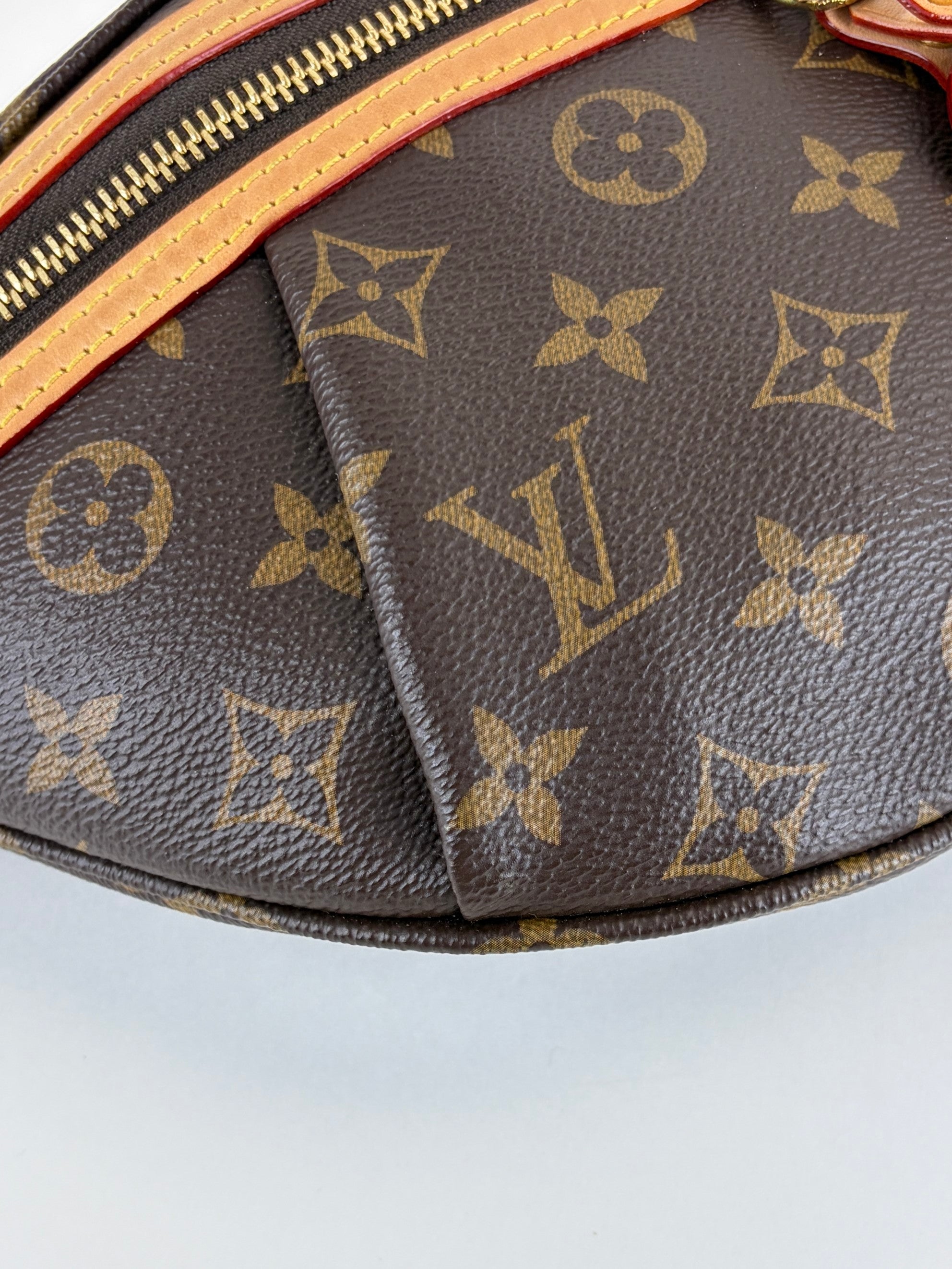 Louis Vuitton Monogram canvas High Rise Bumbag