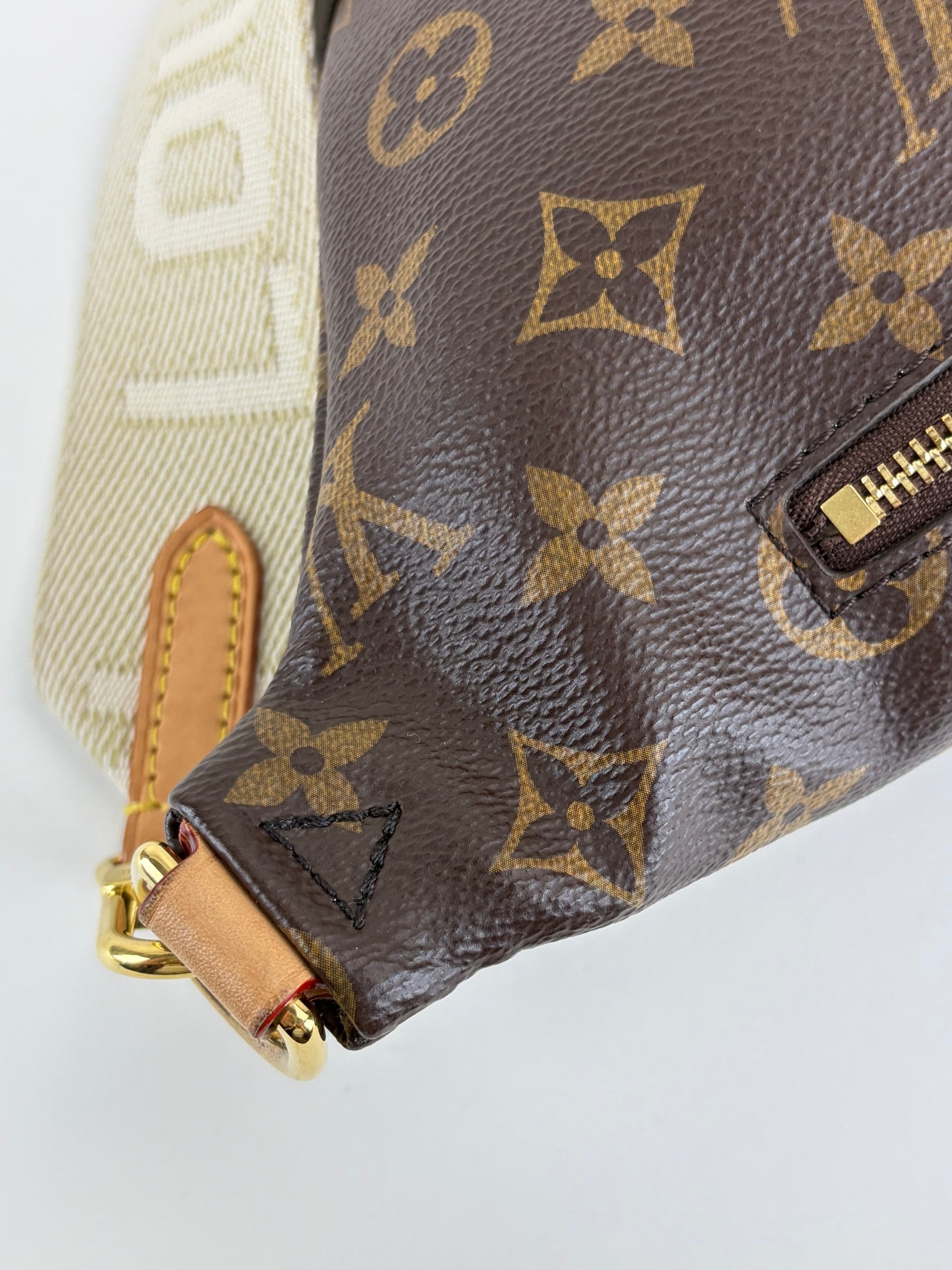 Louis Vuitton Monogram canvas High Rise Bumbag