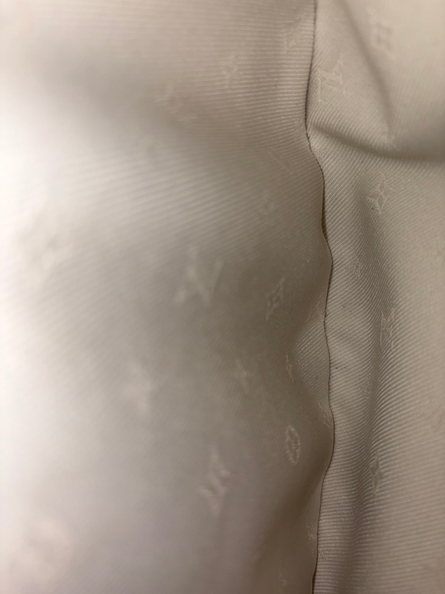 Louis Vuitton Monogram canvas High Rise Bumbag