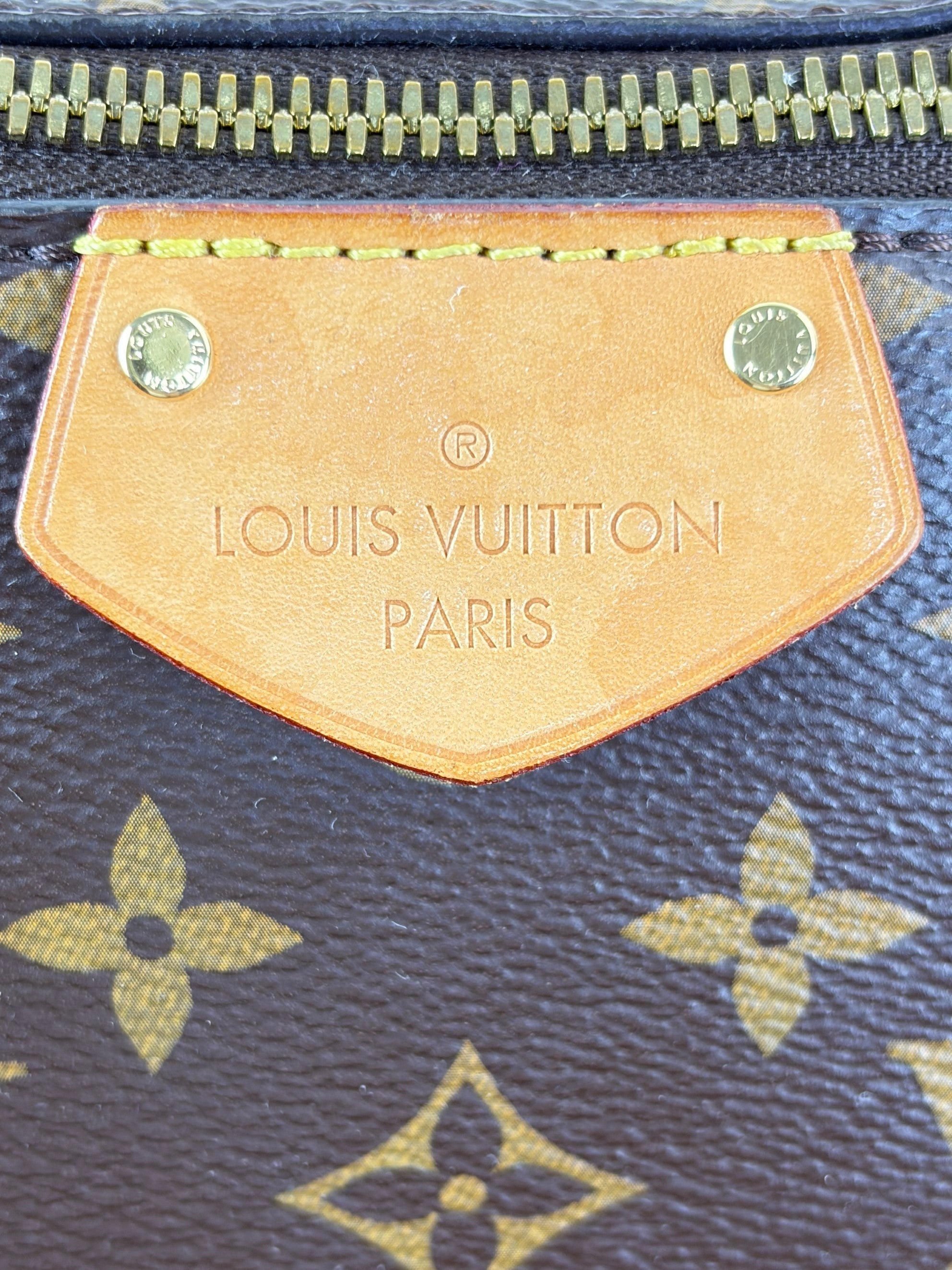 Louis Vuitton monogram canvas turenne GM tote bag