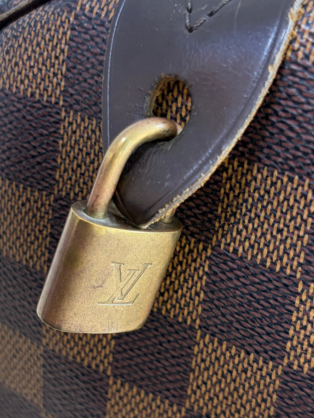 Louis Vuitton Damier Ebene canvas Speedy 30 Bag