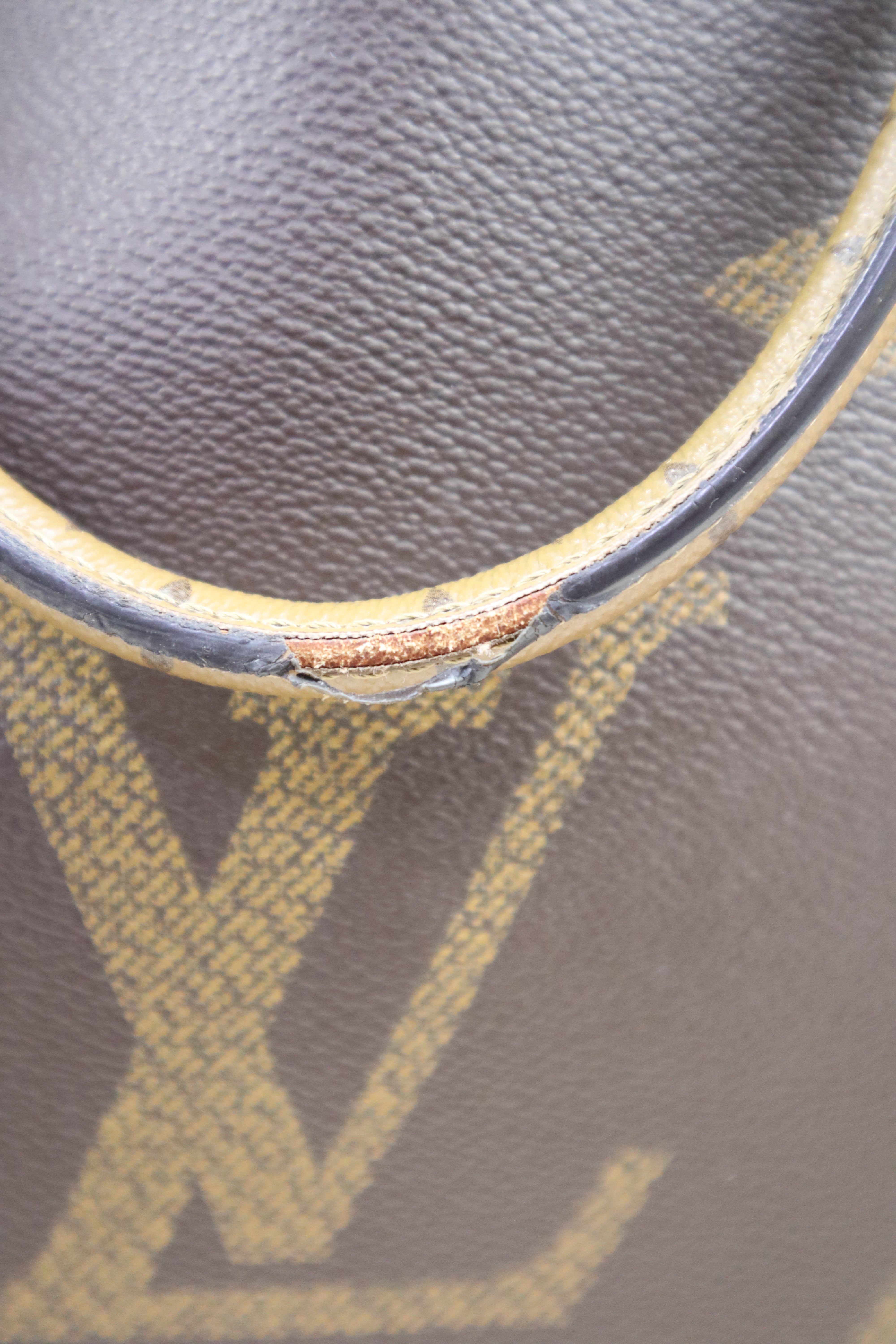 Louis Vuitton Monogram Onthego GM Bag
