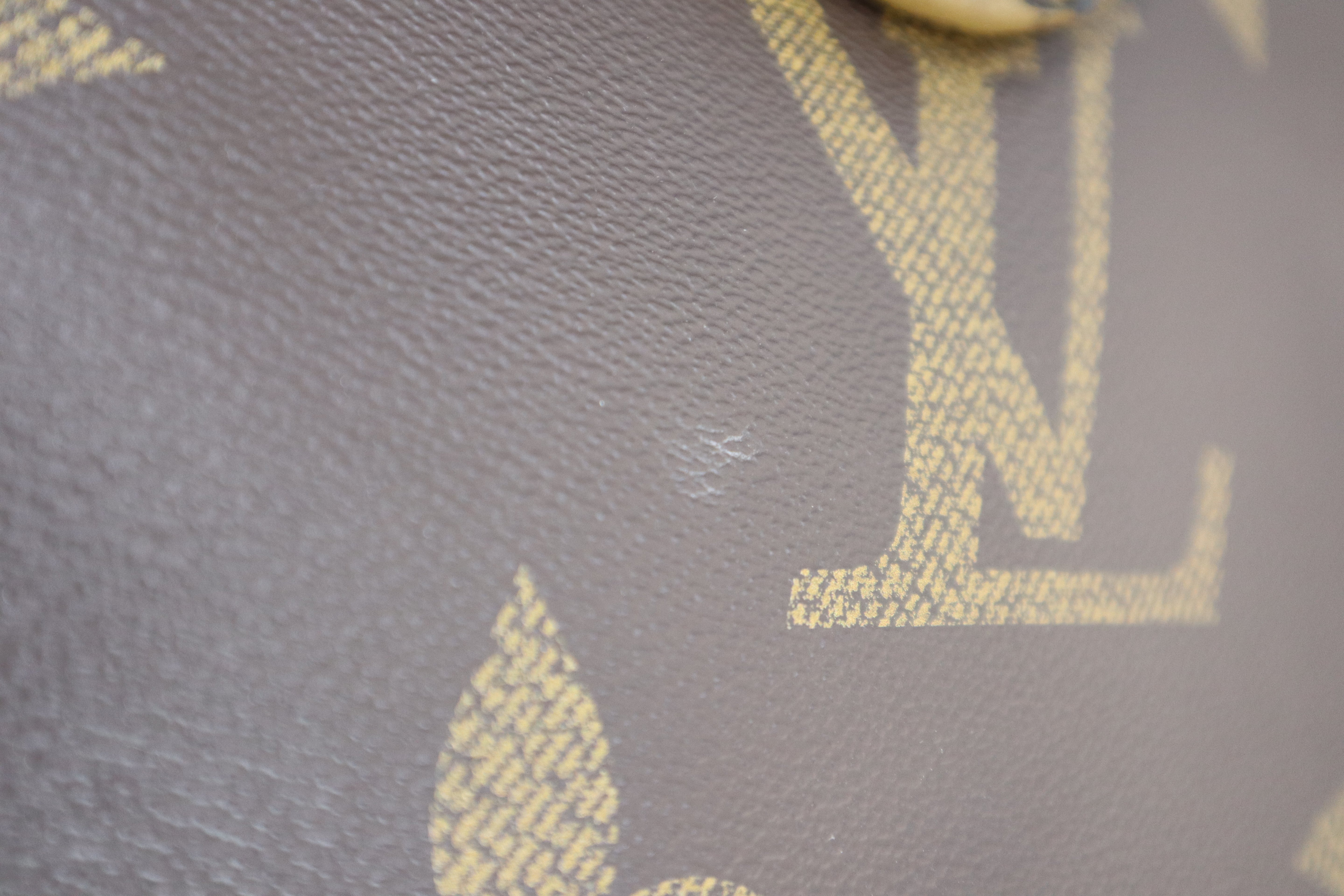 Louis Vuitton Monogram Onthego GM Bag