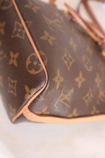 Louis Vuitton Monogram Neo Nano Bag